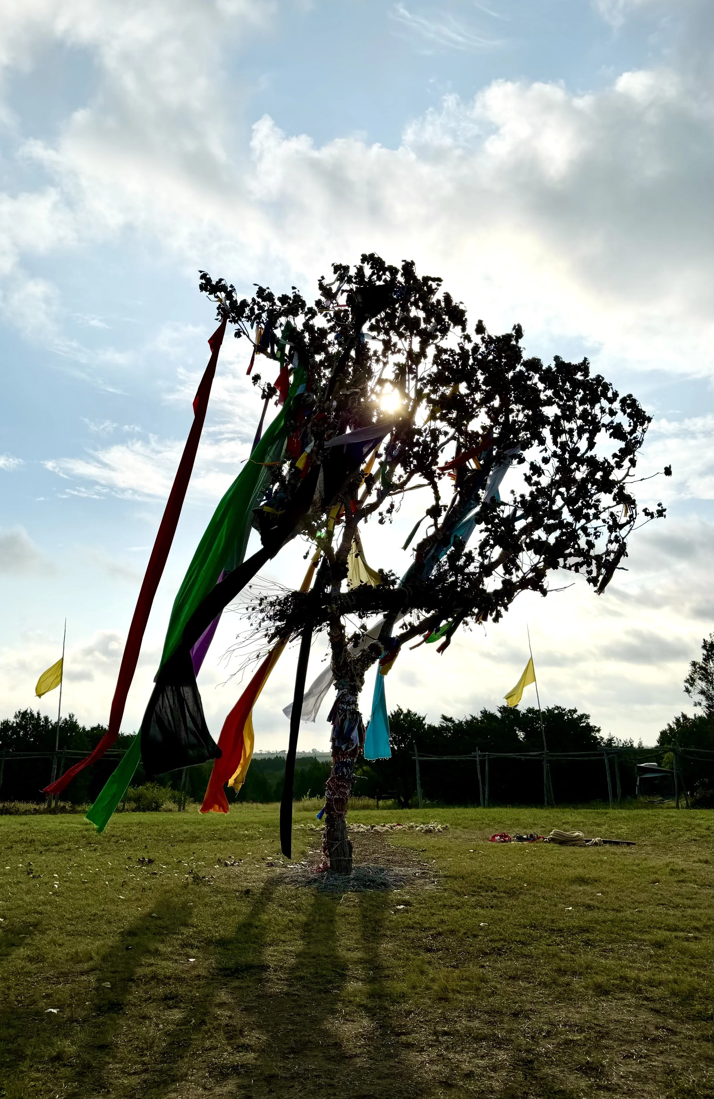 Trees: The Divine Connection