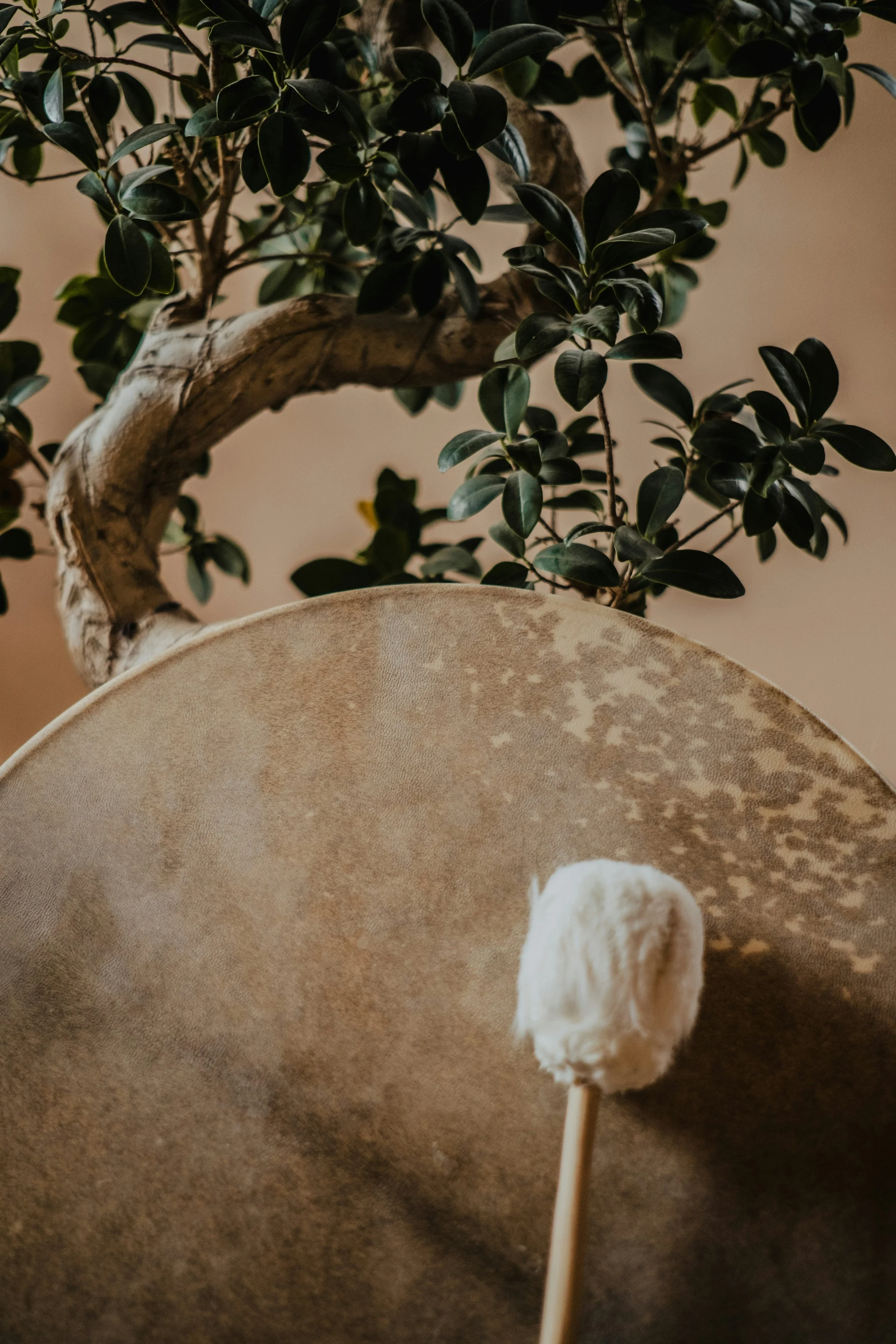 Image of a shaman's animal-hide drum.