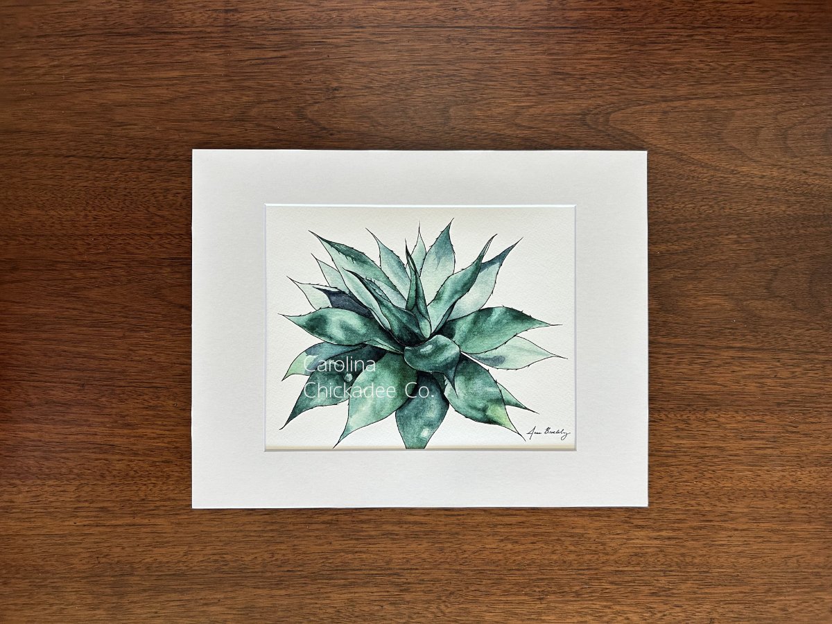 Succulent watermark.jpg