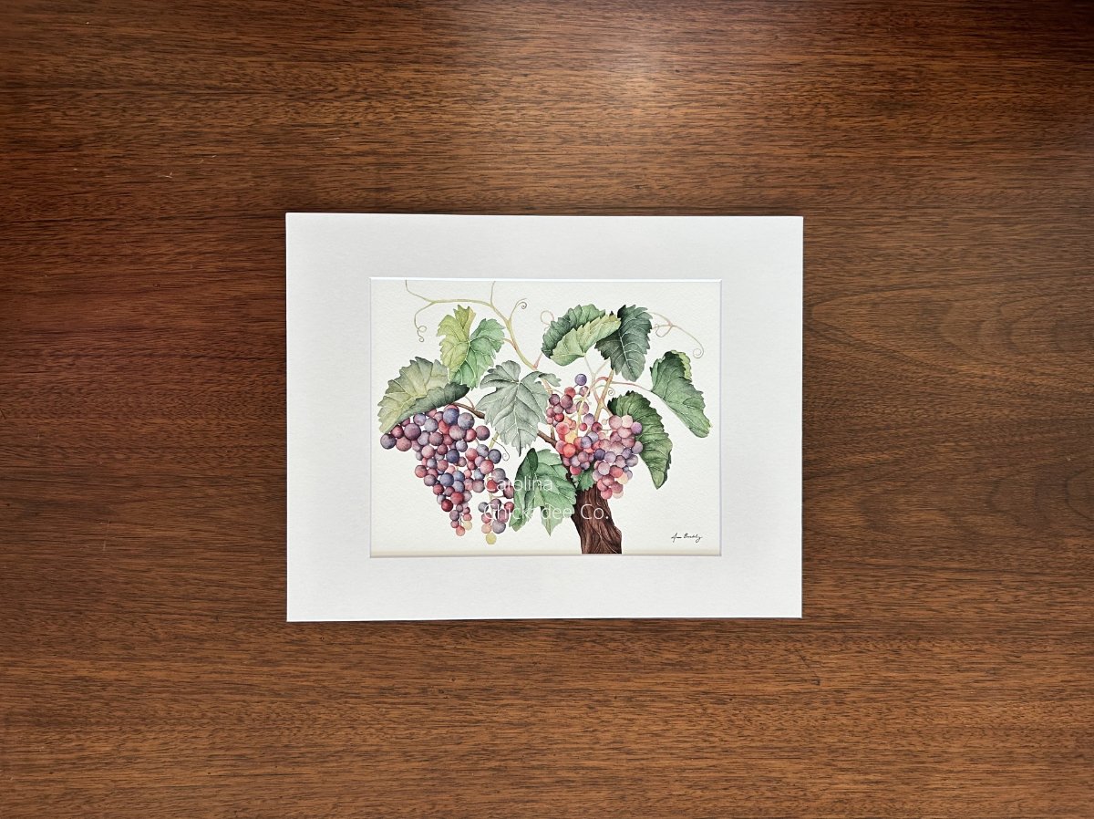 Watermark grape matted .jpg