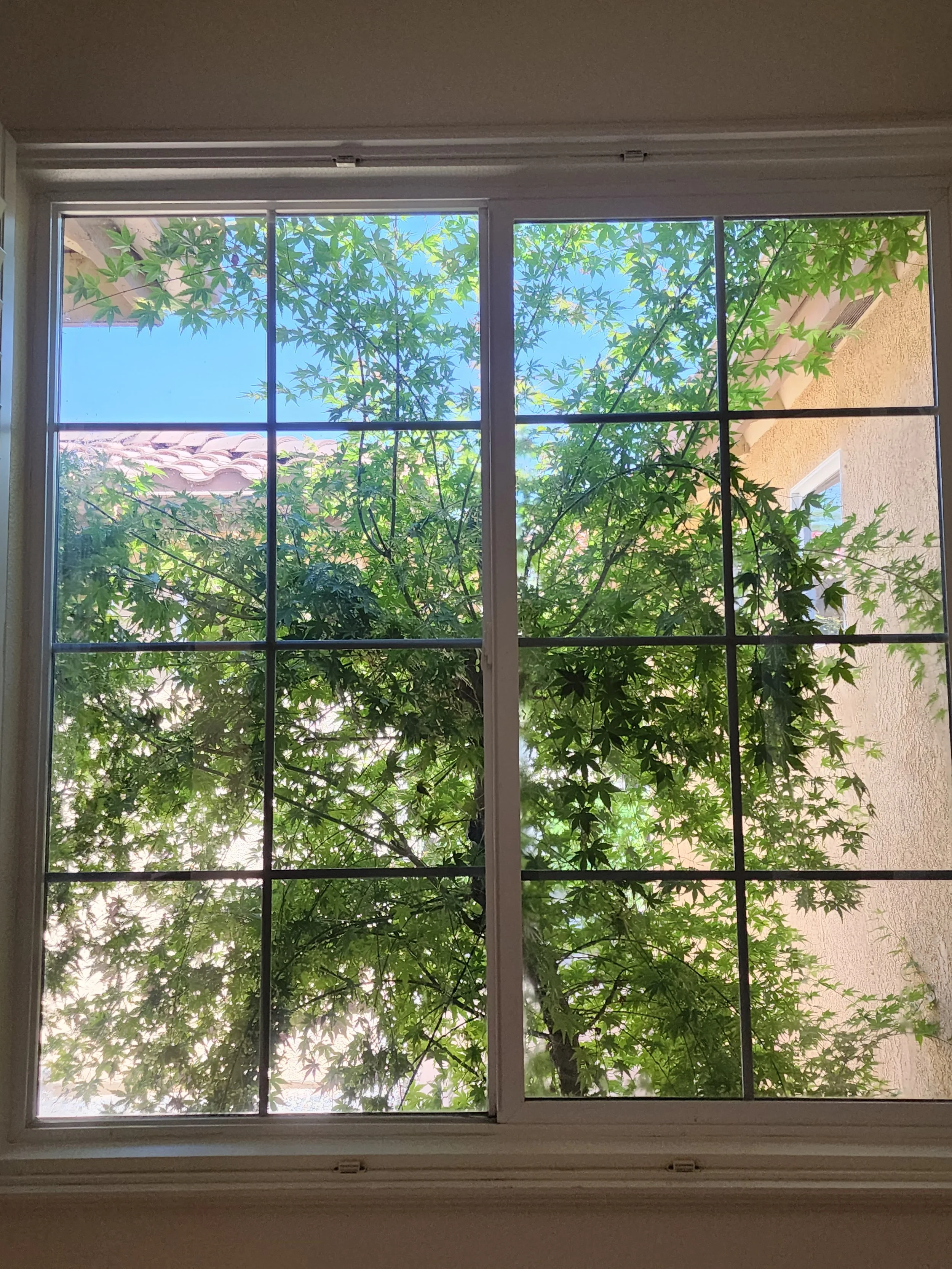ladder-safe-window-cleaning-tech-fresno.jpg.jpg