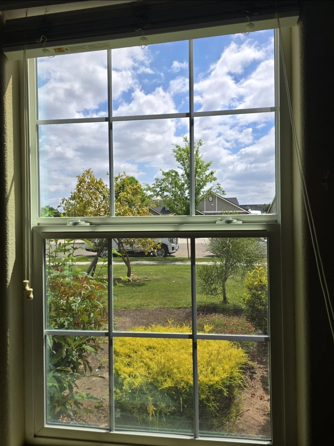 squeegee-clean-glass-service-fresno.jpg.jpg