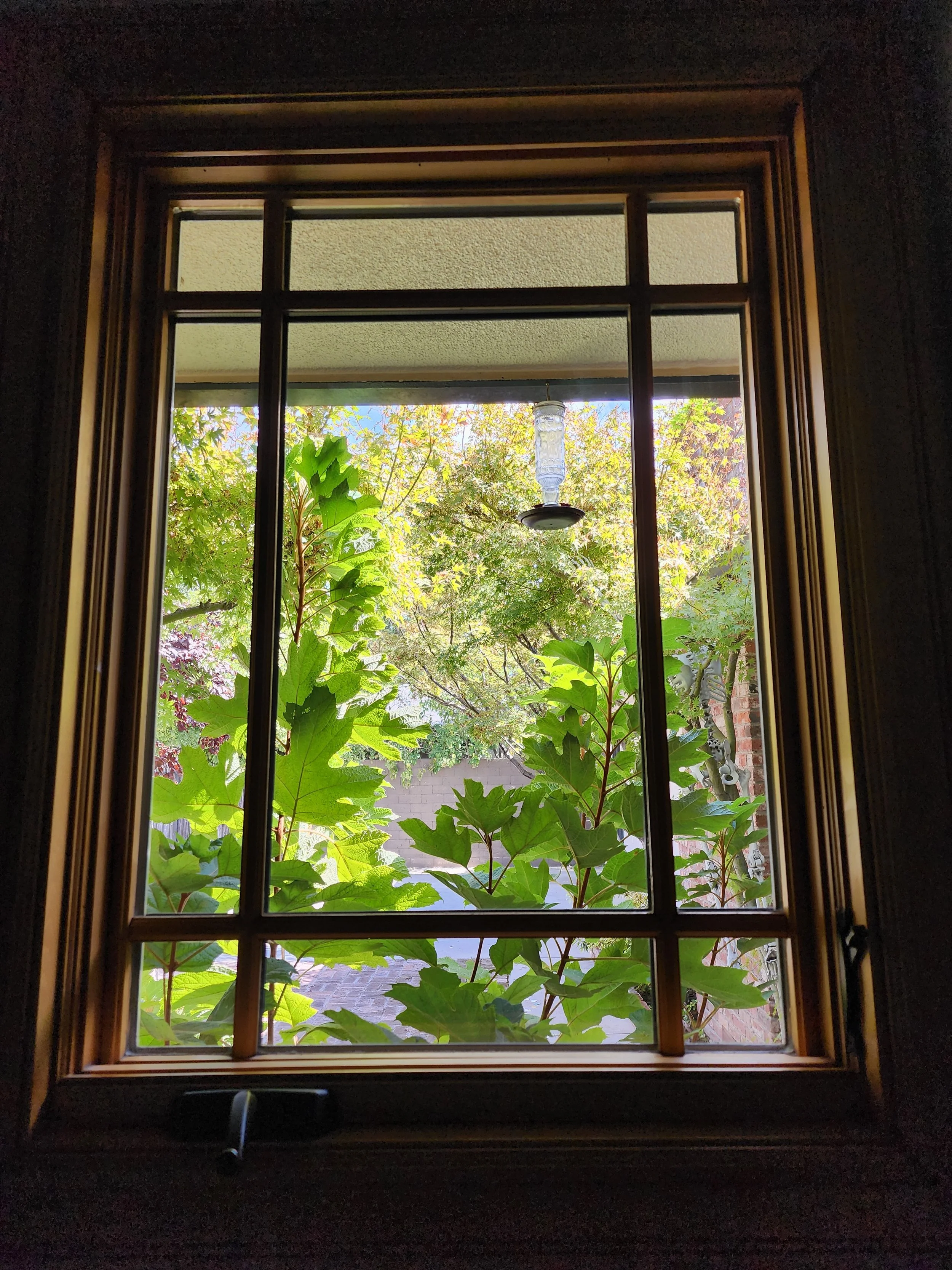 window-screen-deep-cleaning-fresno.jpg.jpg