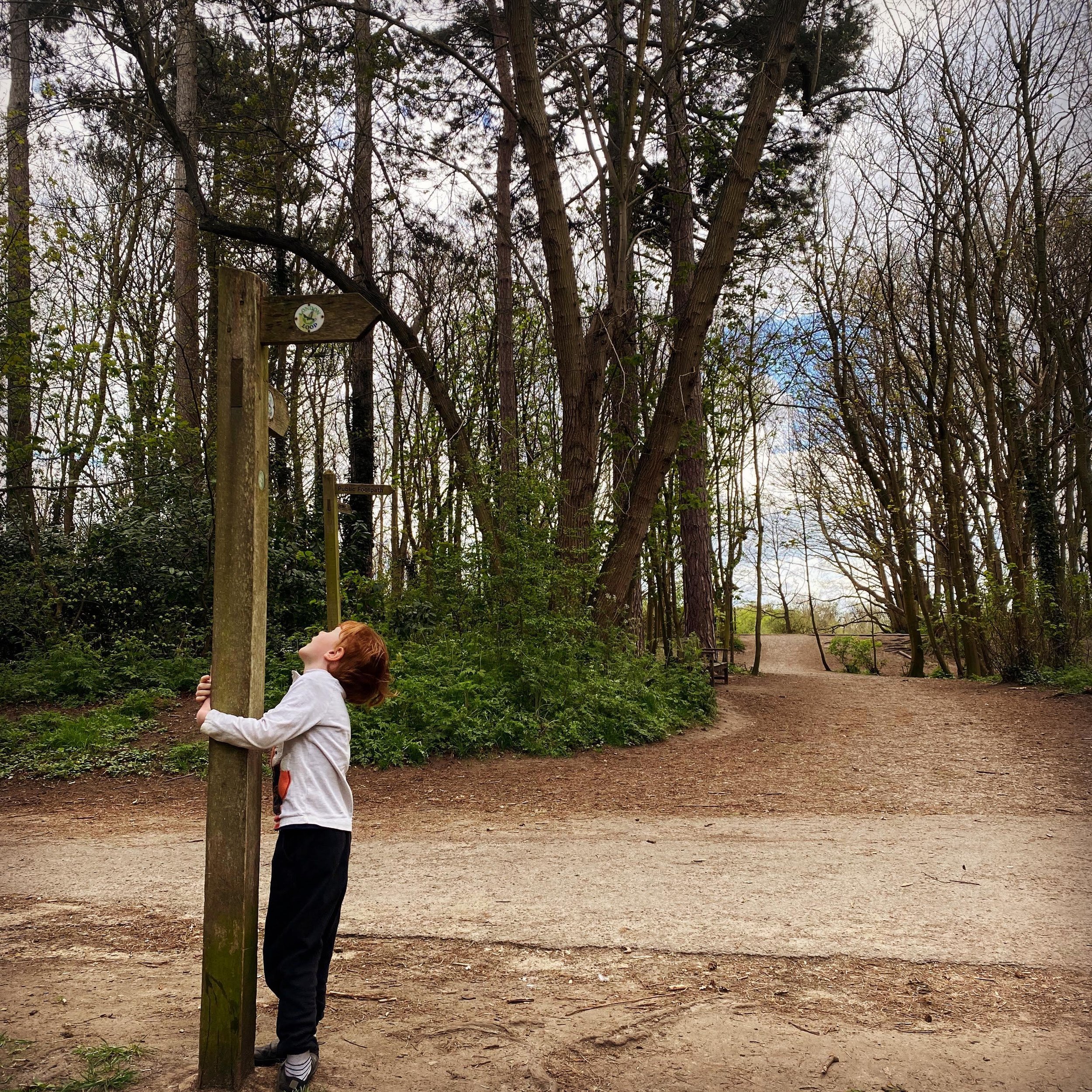 Want to know how to make friends with a tree? Today I&rsquo;ll be helping some wonderful children and parents to learn how to do just that!  It&rsquo;s a beautiful sunny morning and I&rsquo;m on my to @paradisecoop to spend time with families from @b