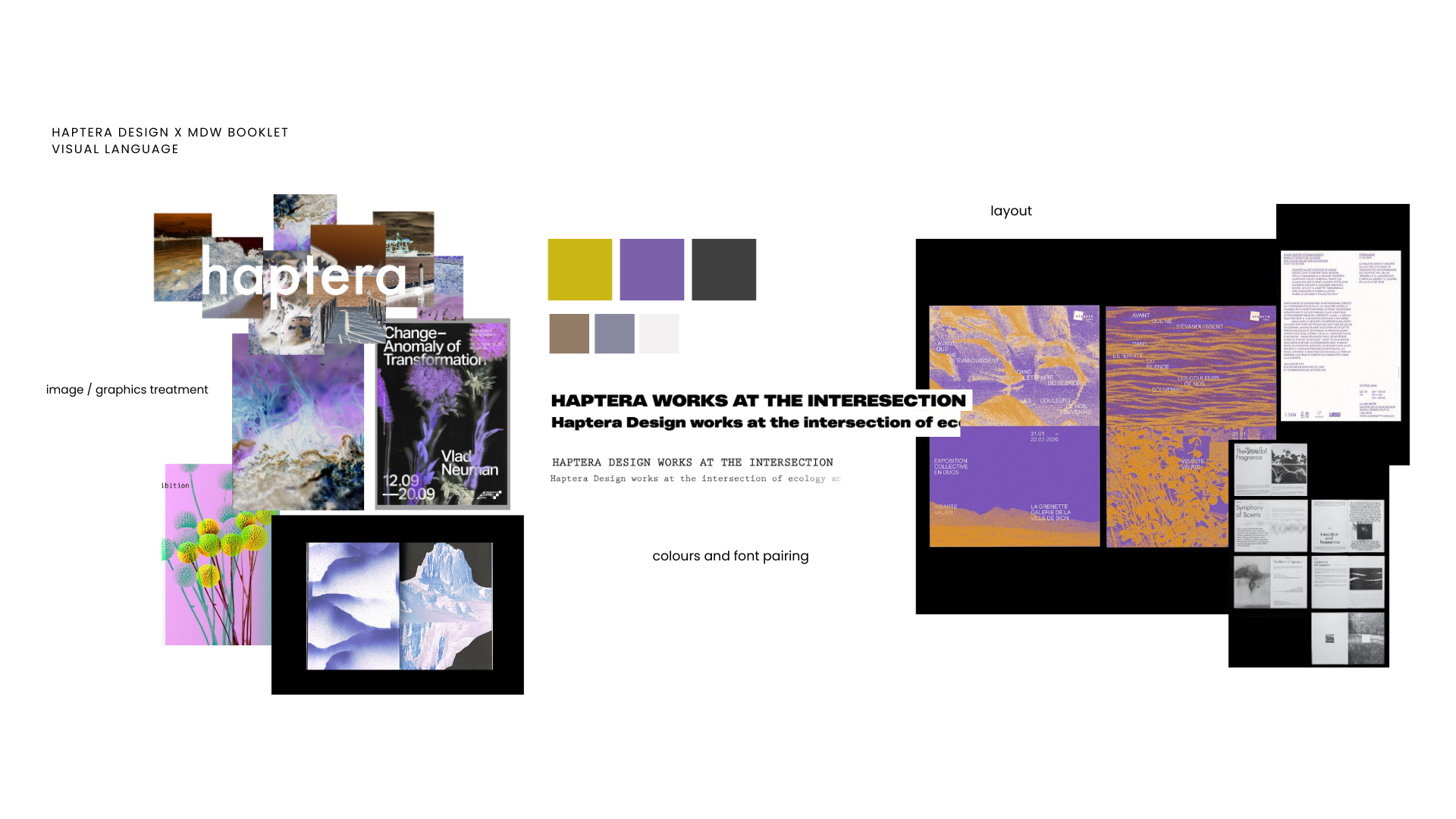 HapteraXMDW Booklet_Visual Language.png