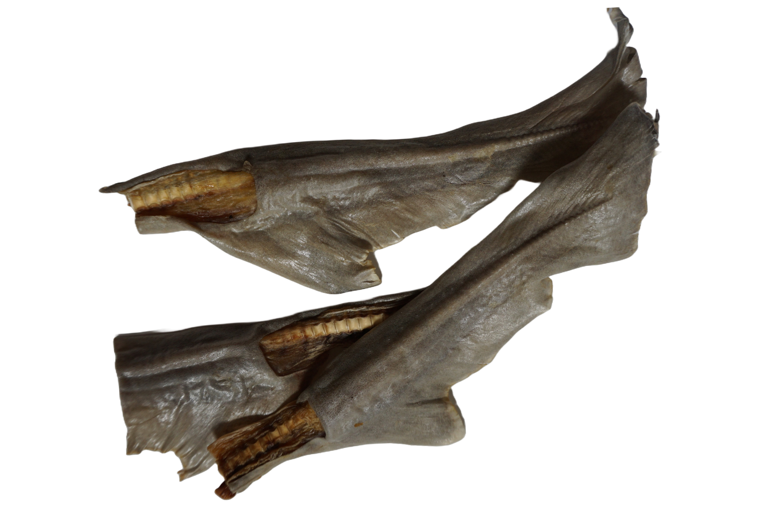 Gummy shark tails are low-fat, protein-packed chews are ideal for pups of all sizes and a great option for weight-conscious pet owners. Sustainably sourced and rich in Omega-3.