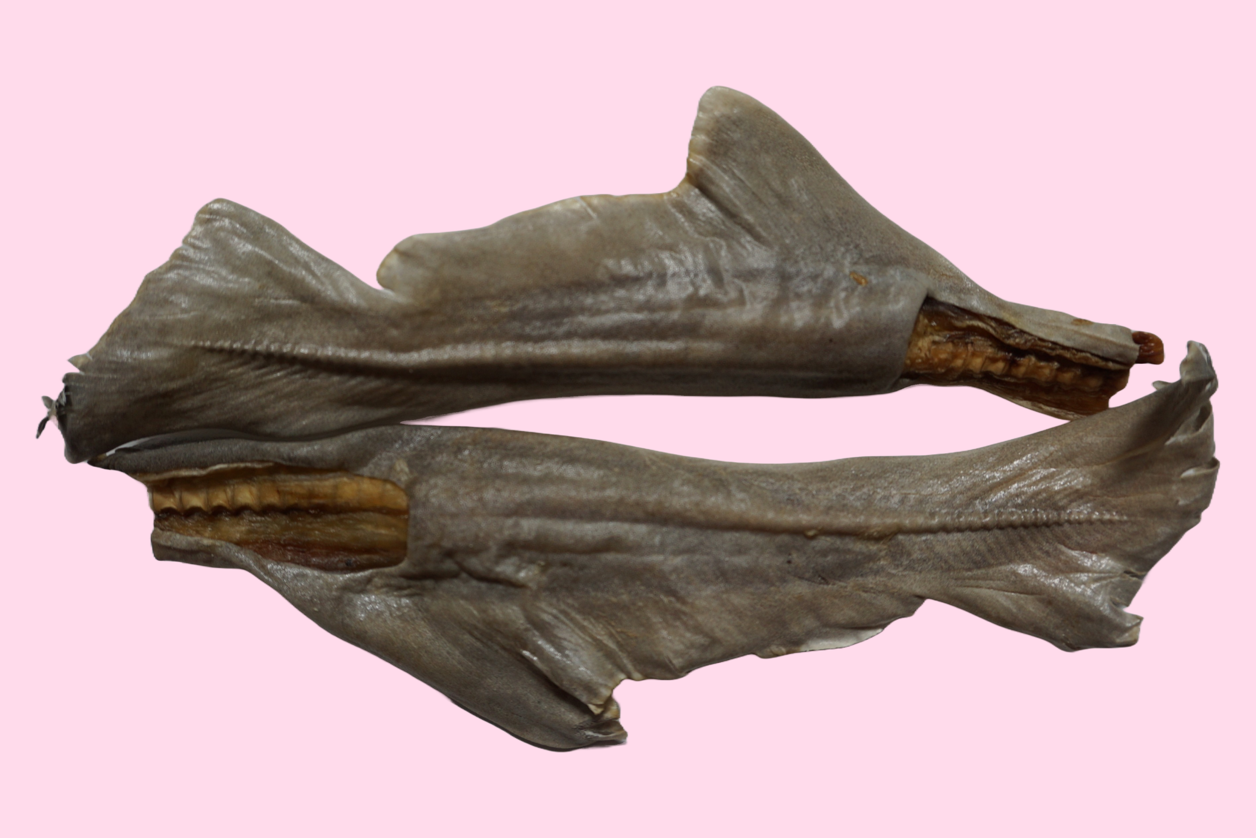 Reward your dog with the goodness of dehydrated gummy shark tails—a crunchy, flavorful snack designed for ultimate satisfaction and wellbeing.