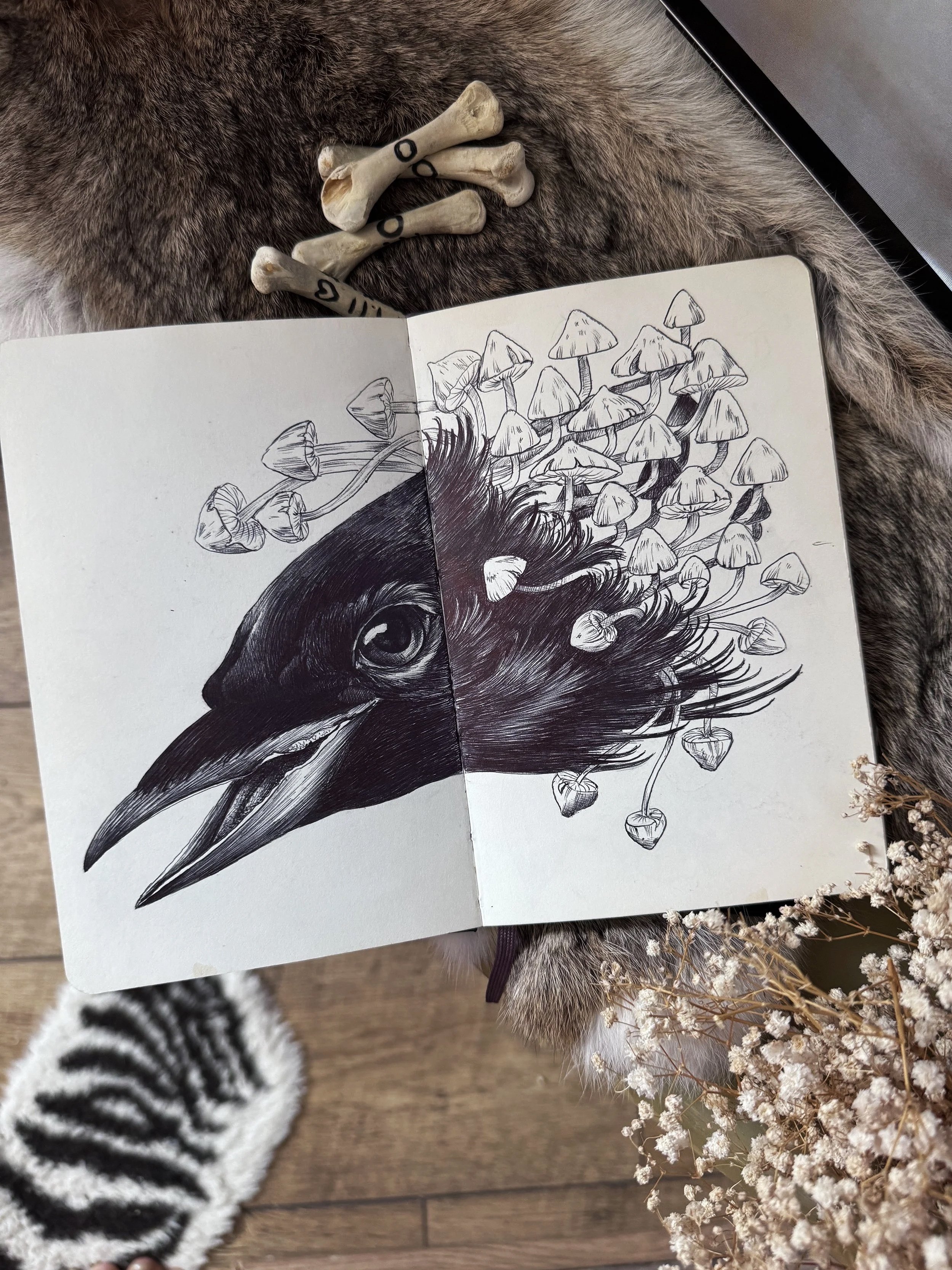 Obsessive Compulsive Raven - Double Page Spread from within the sketchbook