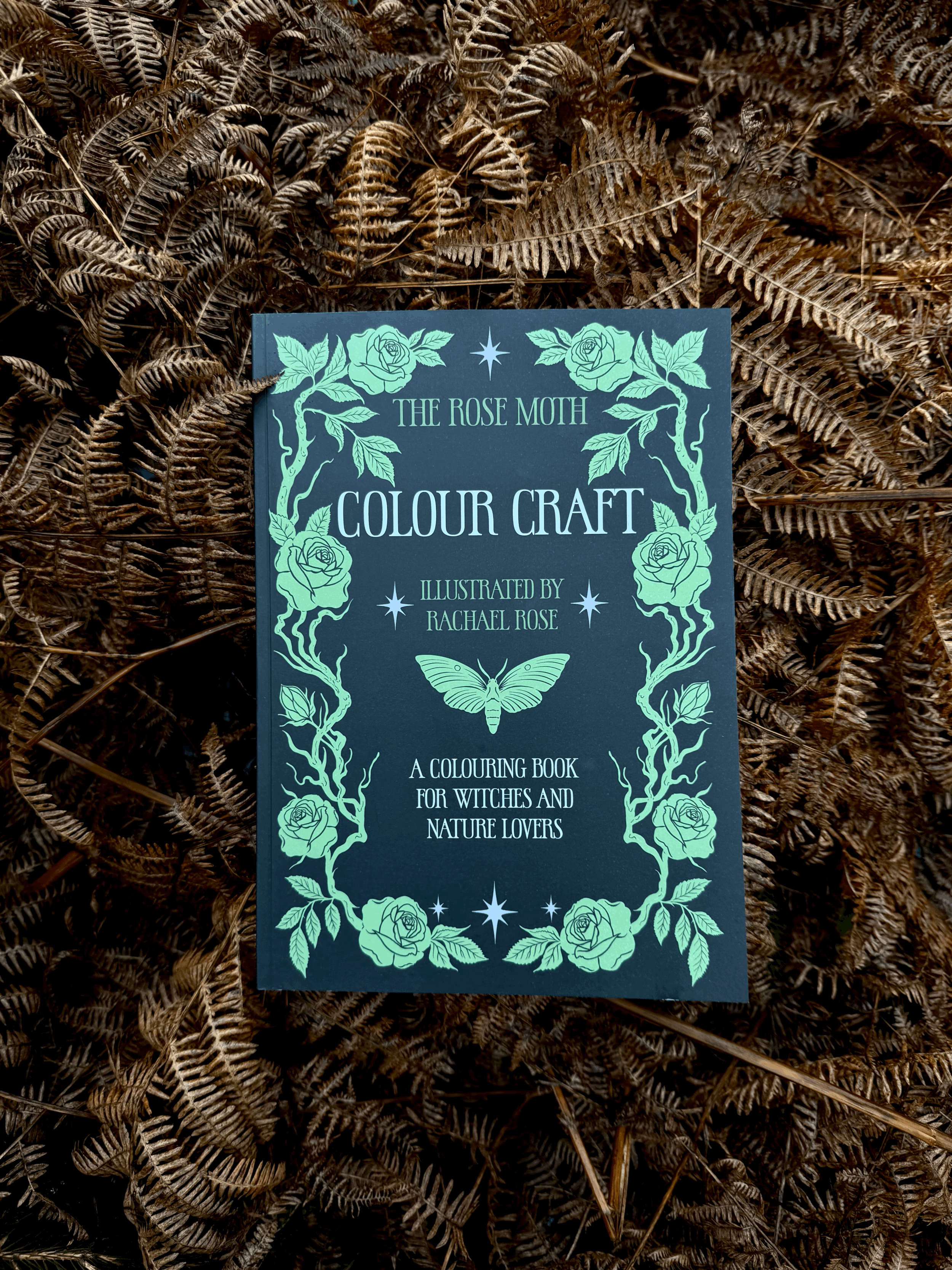 tempImagemBdUk6.gif (Copy)