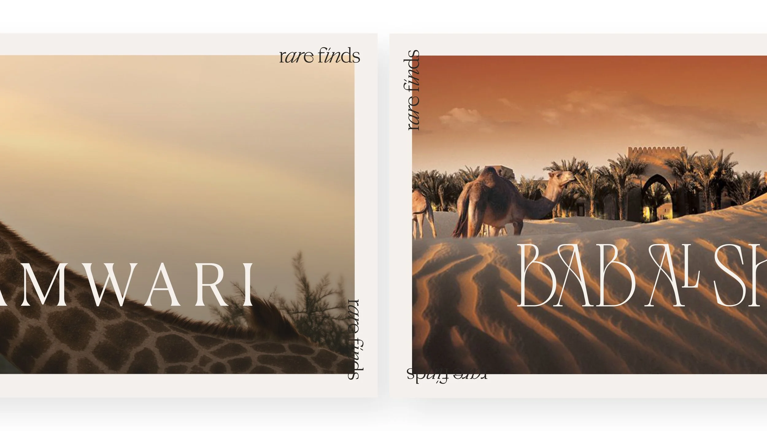 Book cover featuring a desert scene with camels, sand dunes, palm trees, and traditional architecture under an orange sky.