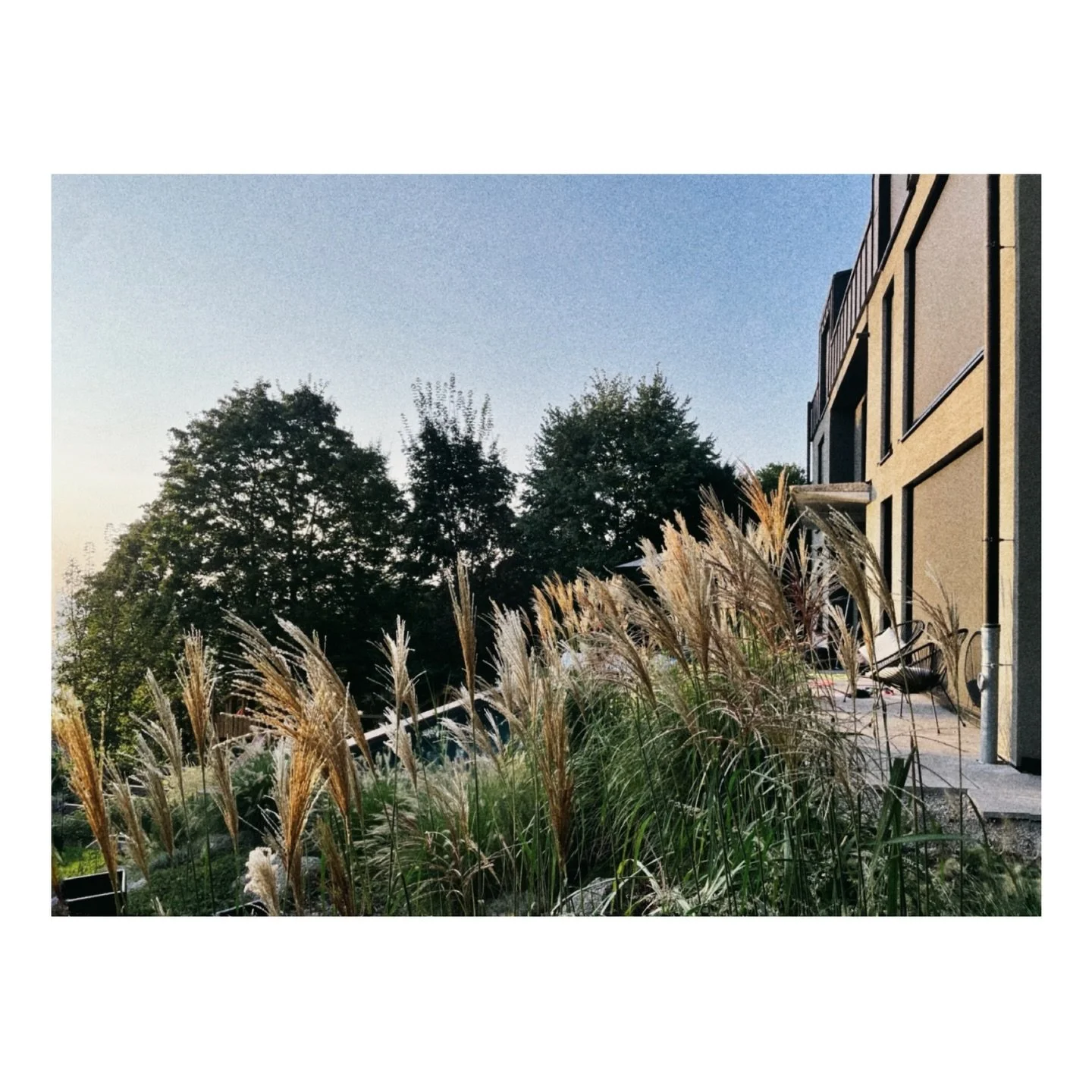 NBB / Haus am Hang
.
.
An- und Umbau eines 60er Jahre Einfamilienhauses am Hang in Weinheim
.
.
#bauenimbestand #60er #startetfromthebottom #bauenamhang #architektur #design #view #livingwithaview #putz #putzpoesie #fenster @josko_official #raffstore