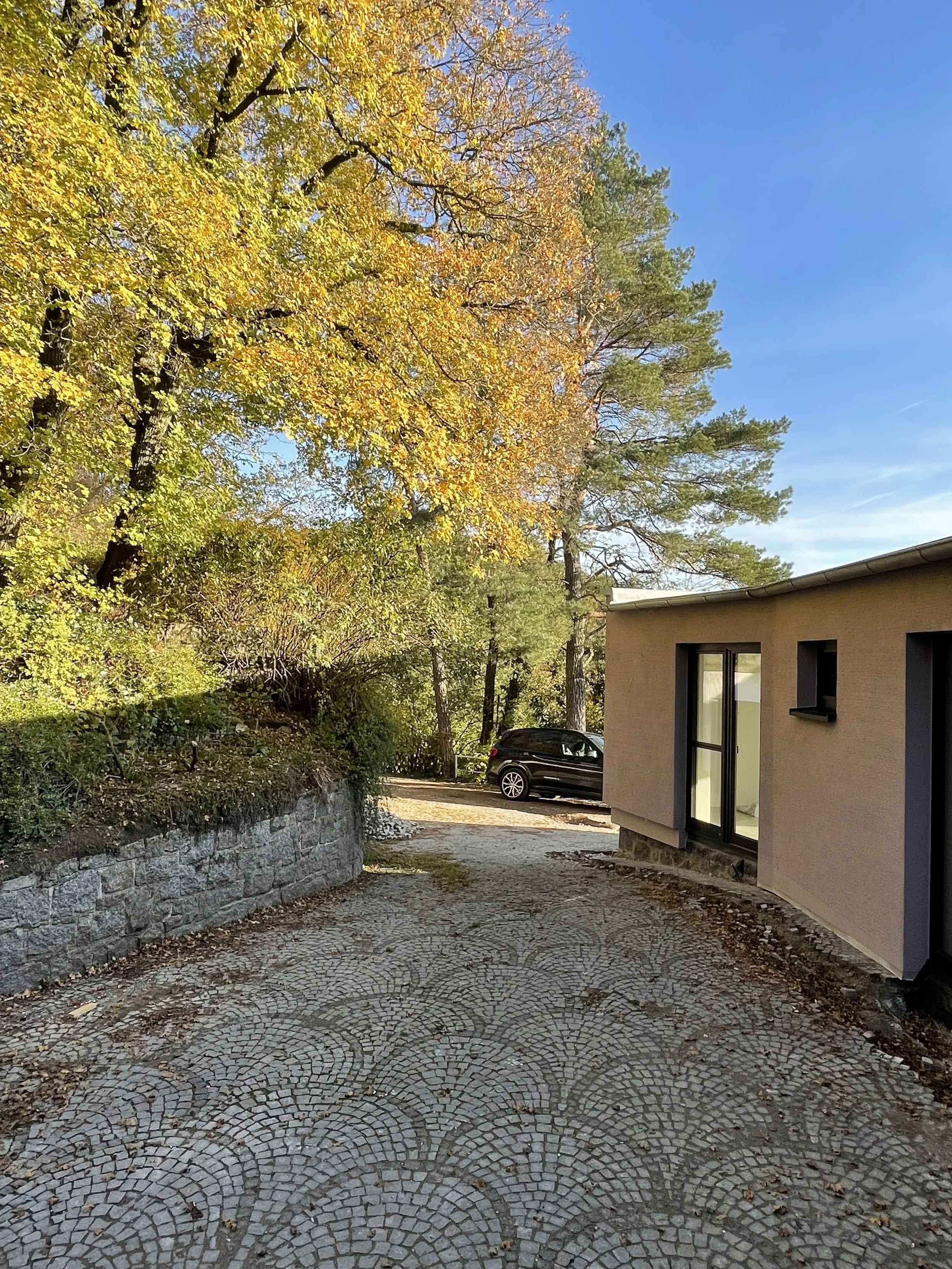 Ein Kiesweg vor einem modernen Haus mit großen Fenstern, umgeben von Bäumen mit gelben und grünen Blättern unter einem klaren blauen Himmel.