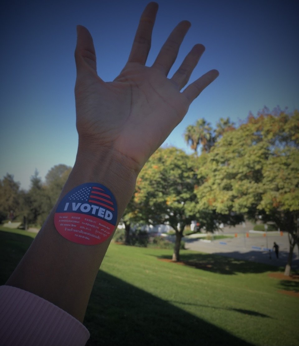 voted hand IMG_4929.JPG