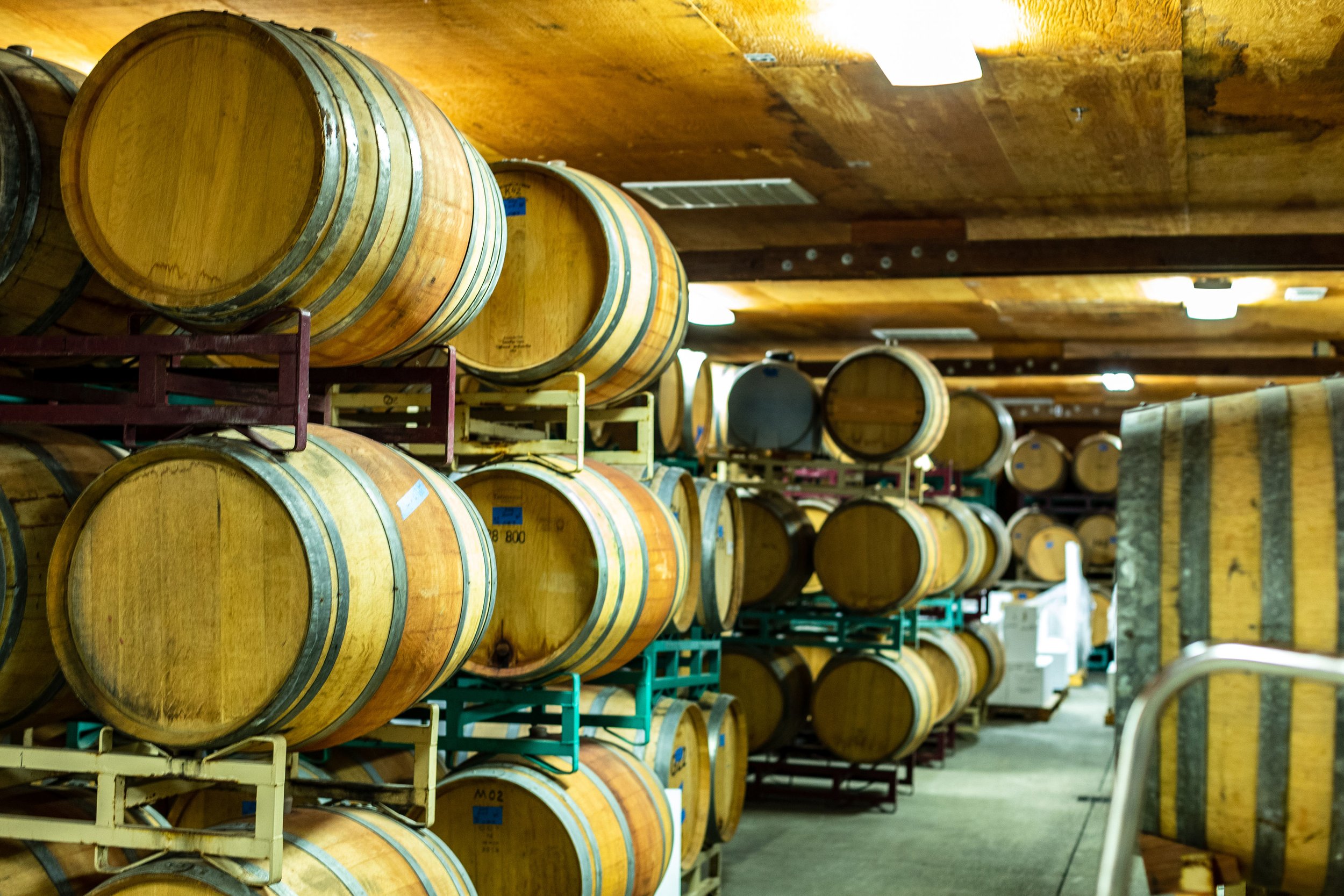 Rows of wooden barrels stored on metal racks in a wine cellar.