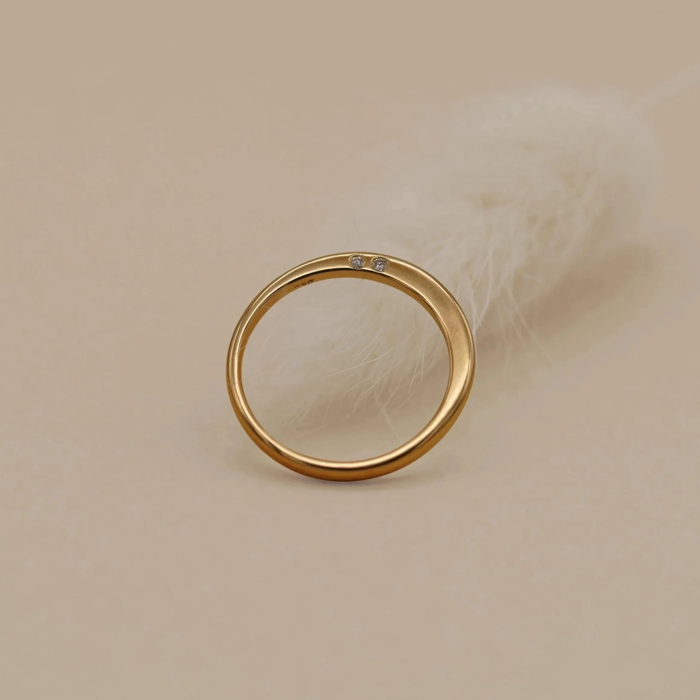 Ring "Partners in Crime"