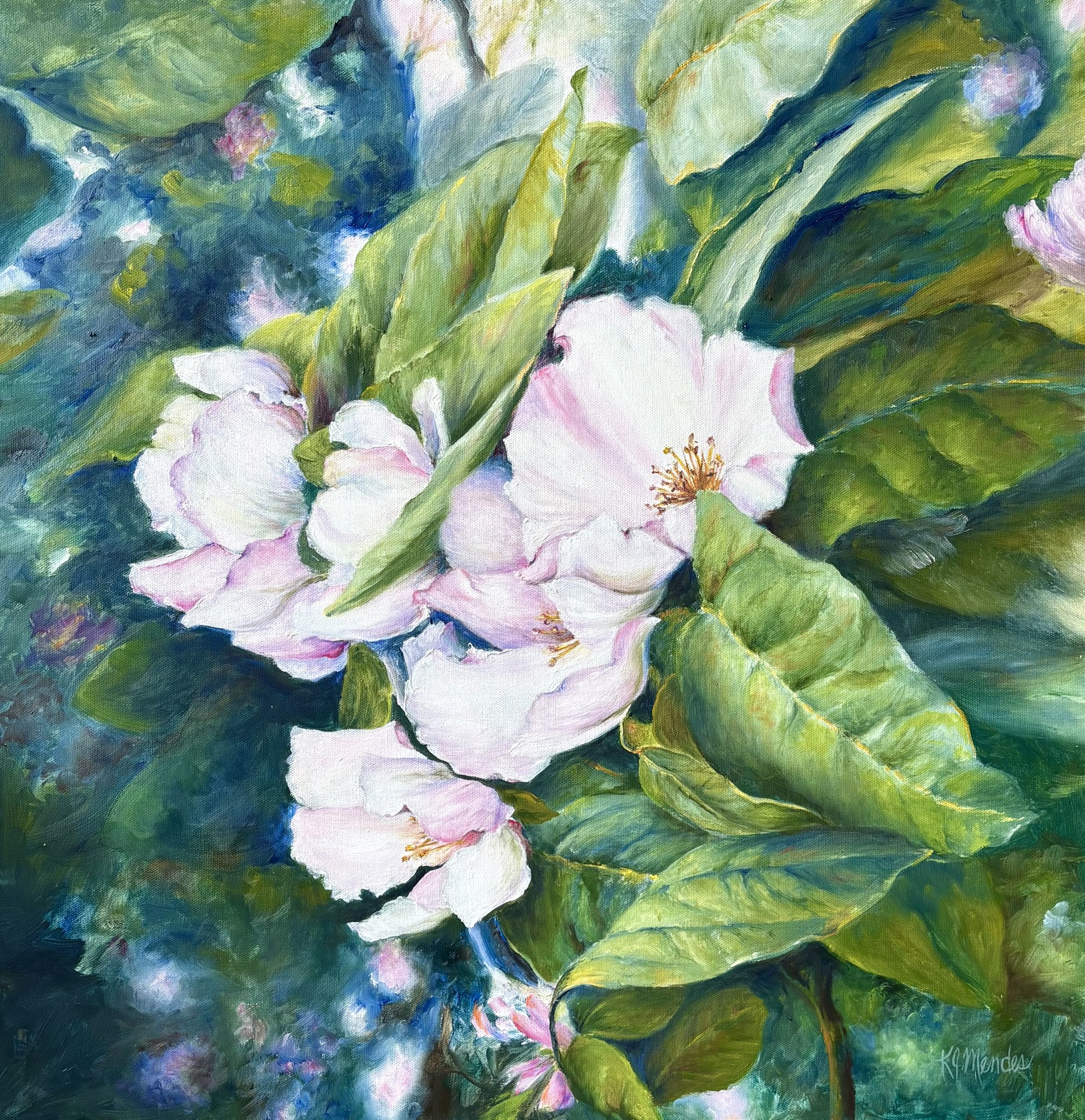 Quince Bloom | Oil on Canvas | 24" x 24" | 1250