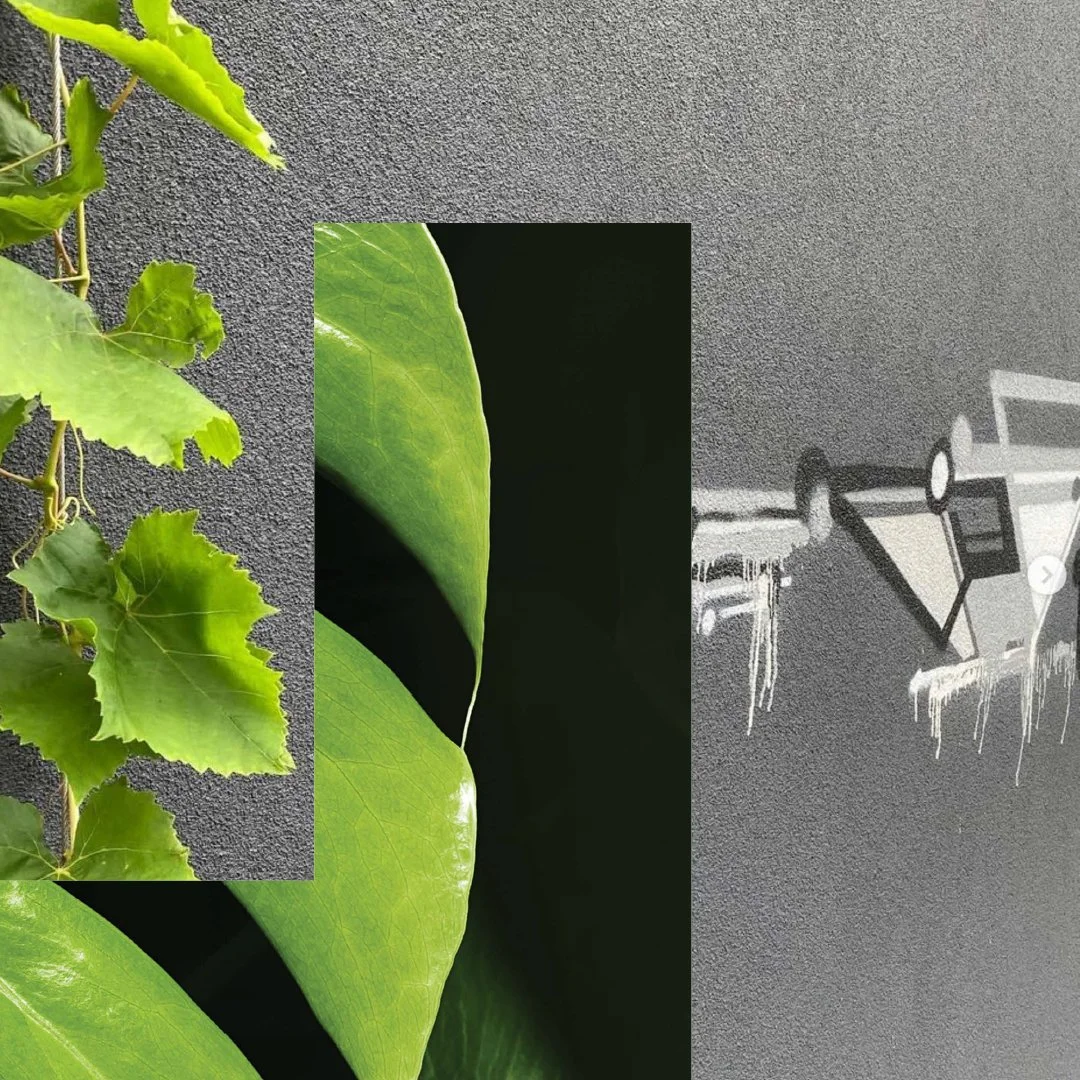 Art / Nature

#hellfire #landscapedesign #landscapeconstruction #landscapeartist #landscapescuplture 
#landscapedesignersperth #garden #gardens #gardendesign #gardendesigner #plants #plantdesign #landscapearchitecture #architecture #gardendesignperth