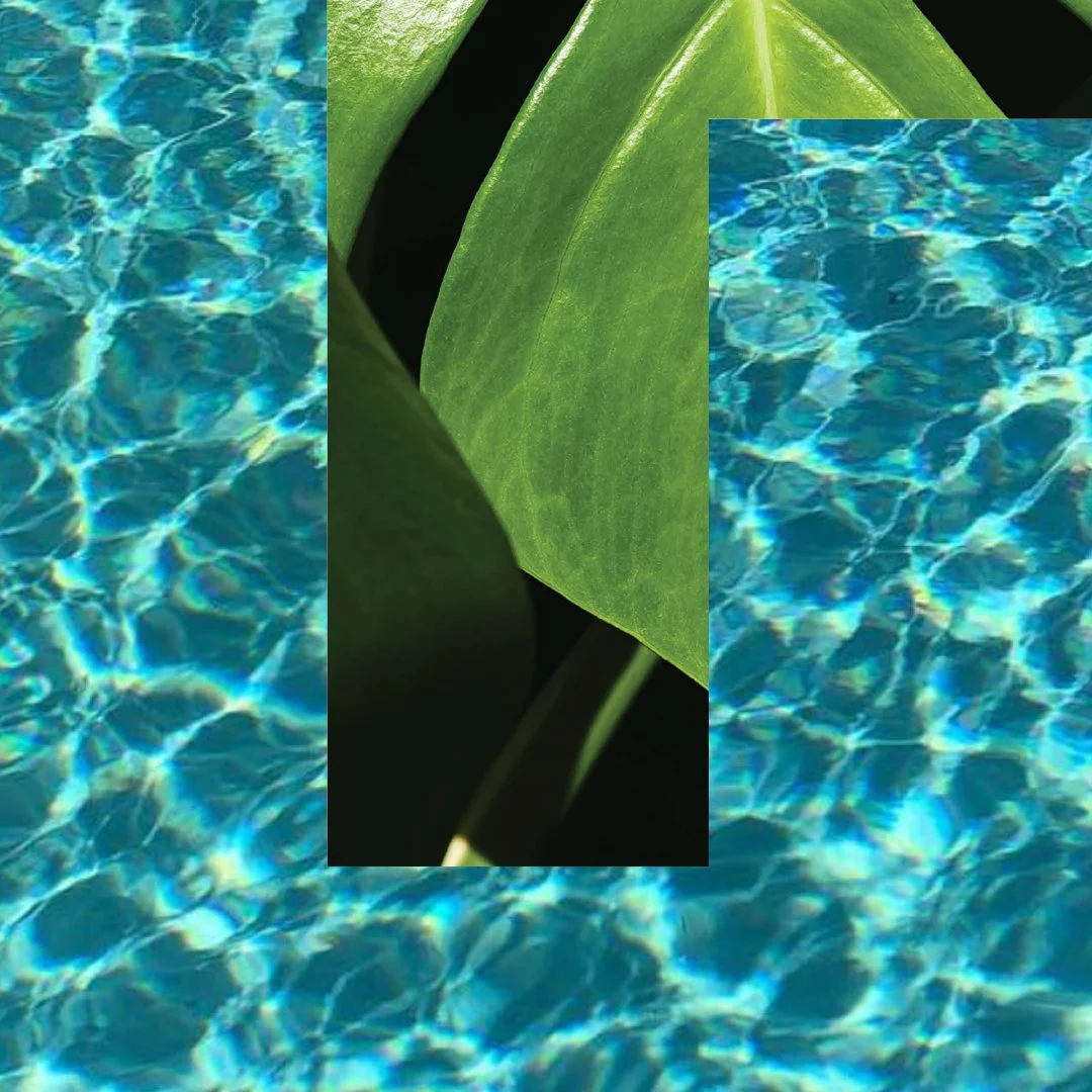 Reflection / Serenity

#hellfire #landscapedesign #landscapeconstruction #landscapeartist #landscapescuplture 
#landscapedesignersperth #garden #gardens #gardendesign #gardendesigner #plants #plantdesign #landscapearchitecture #architecture #gardende
