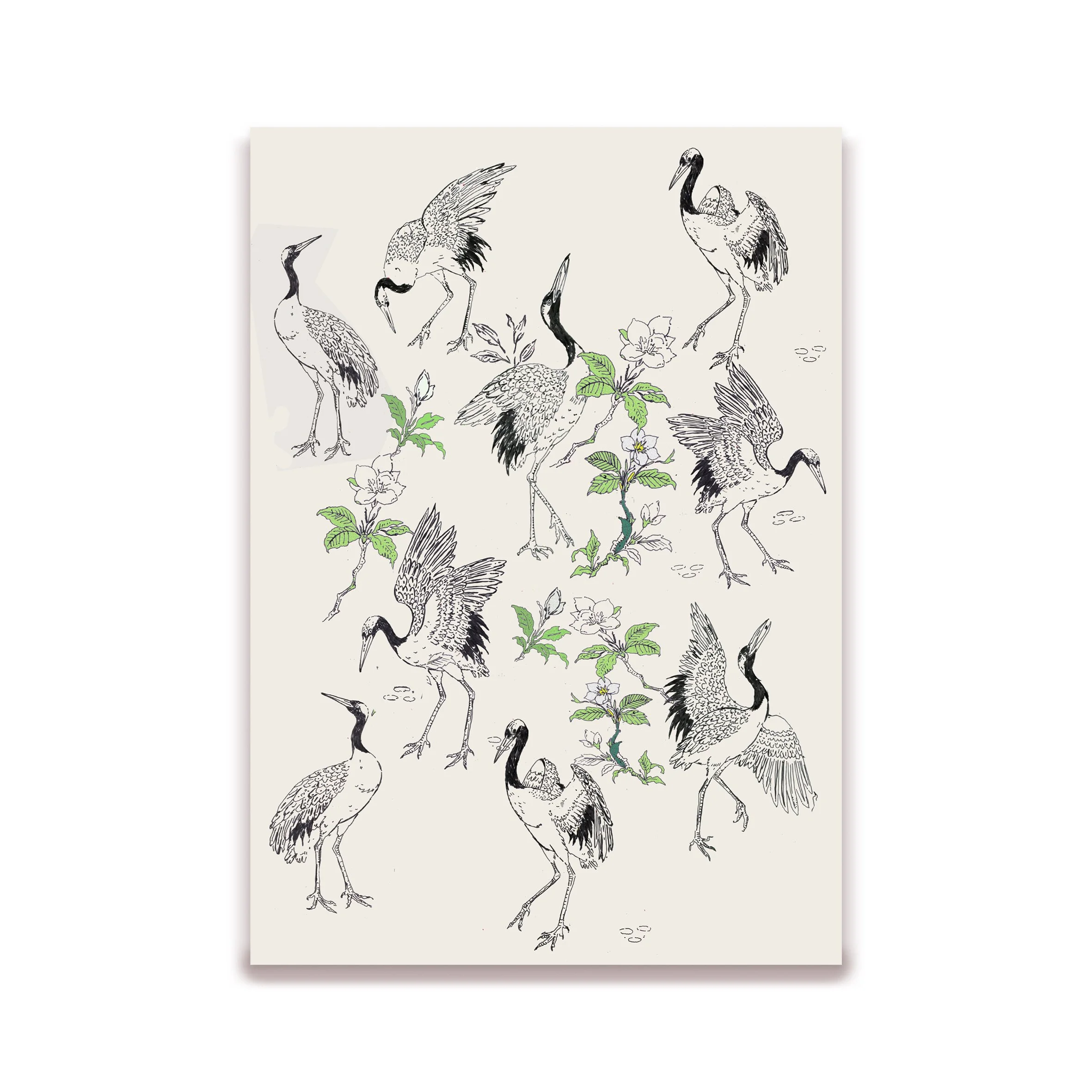 storks for web.jpg