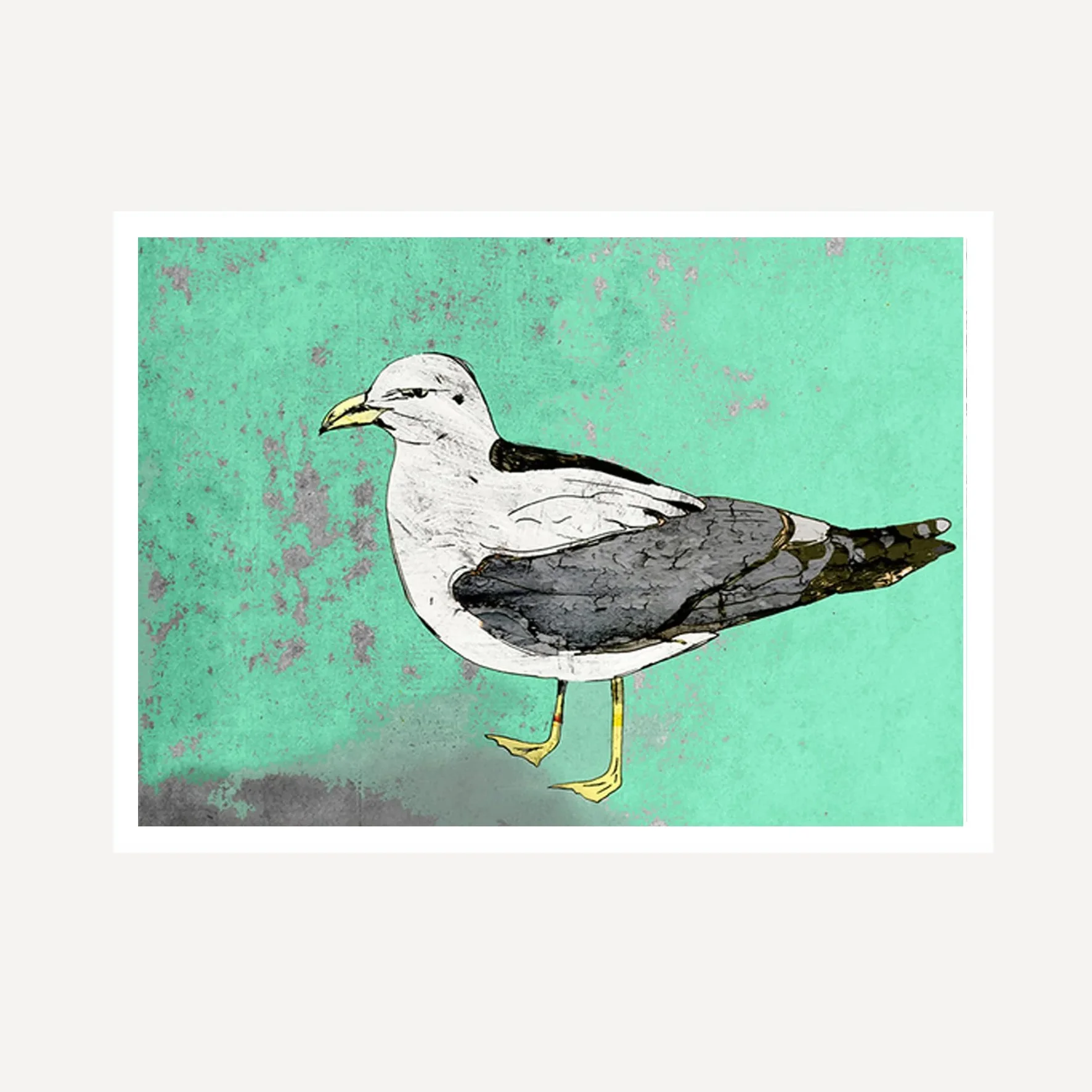condescending seagull for web.jpg