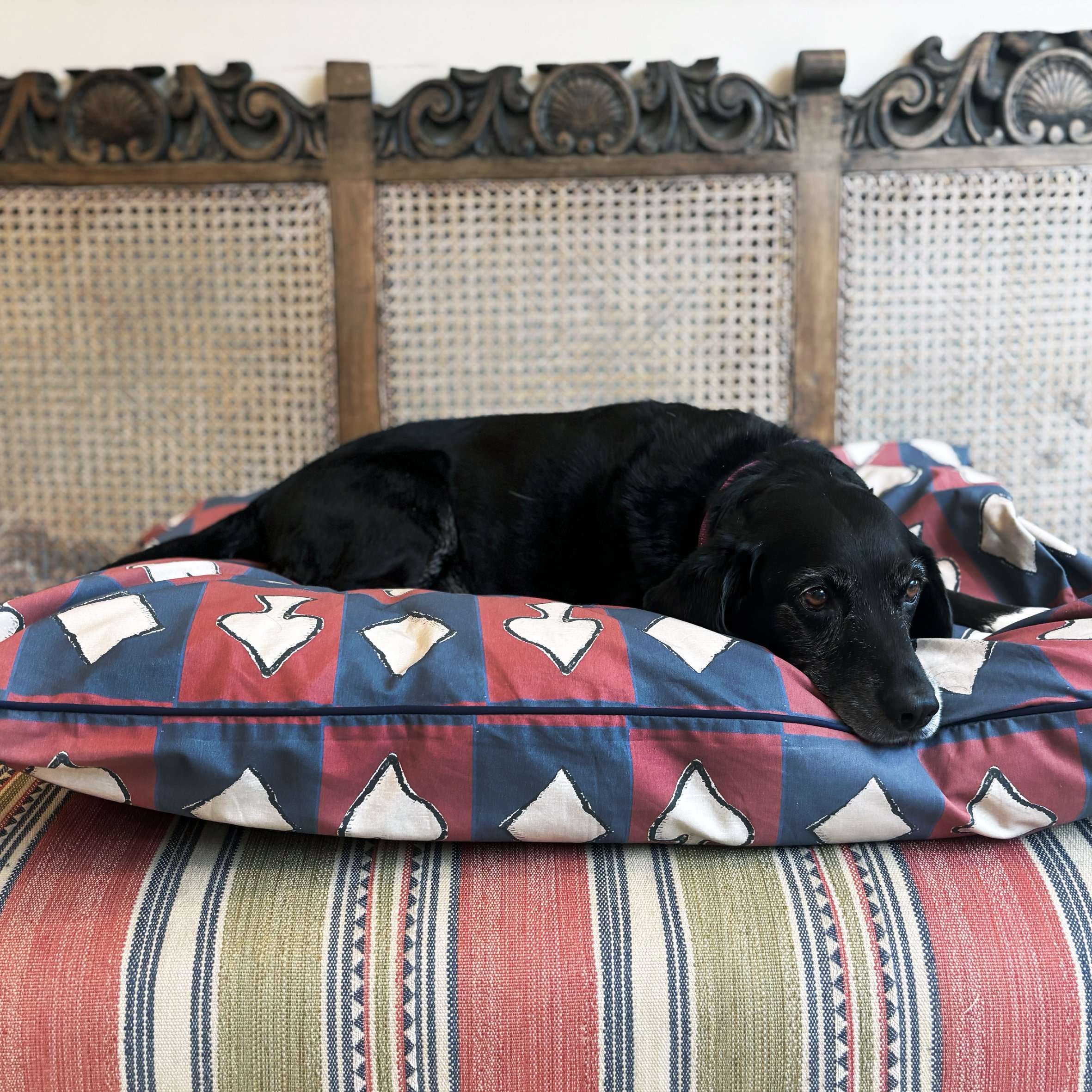 CARDS DOG BED4.jpg (Copy)