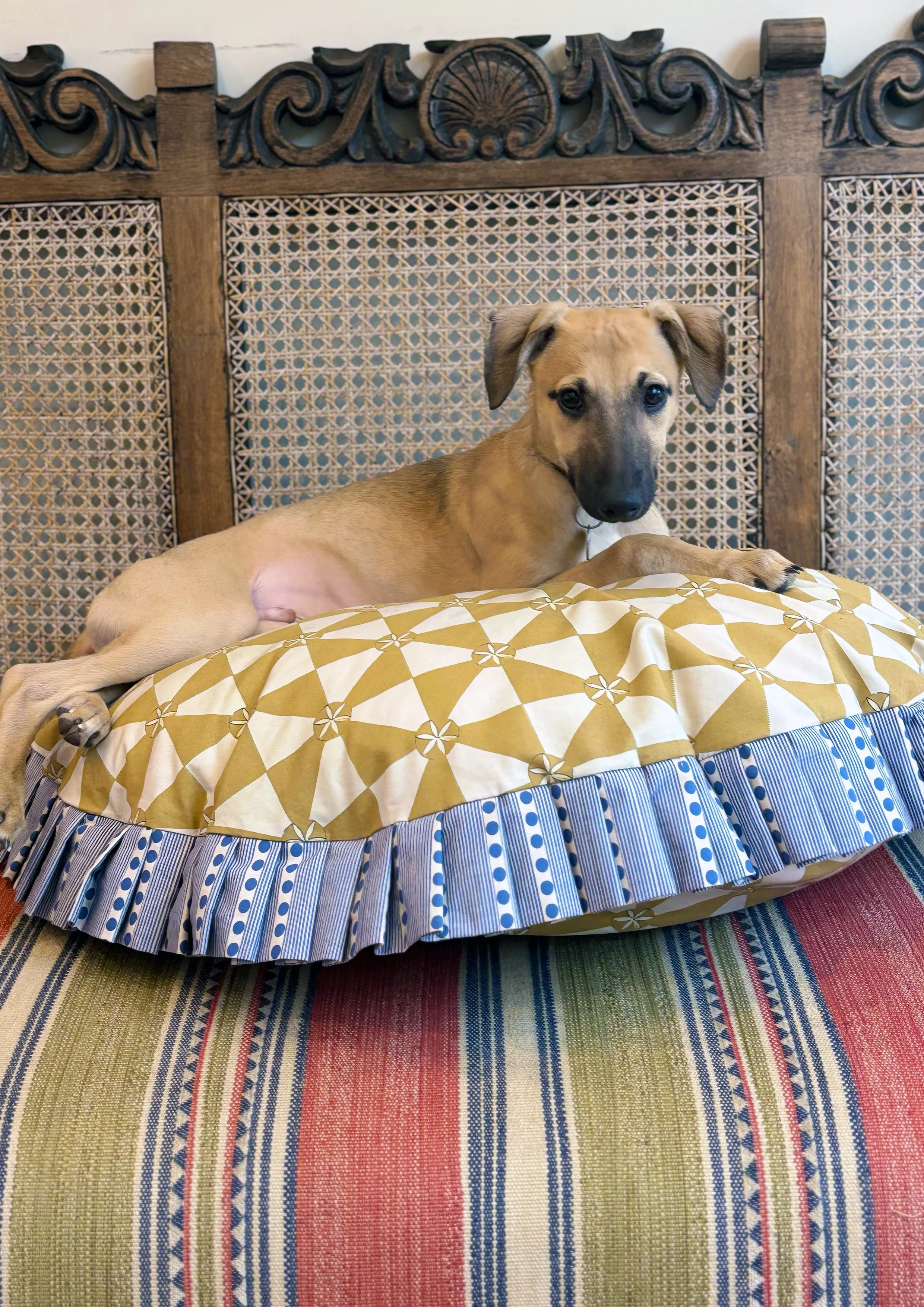 yellow checker dog bed3.jpg