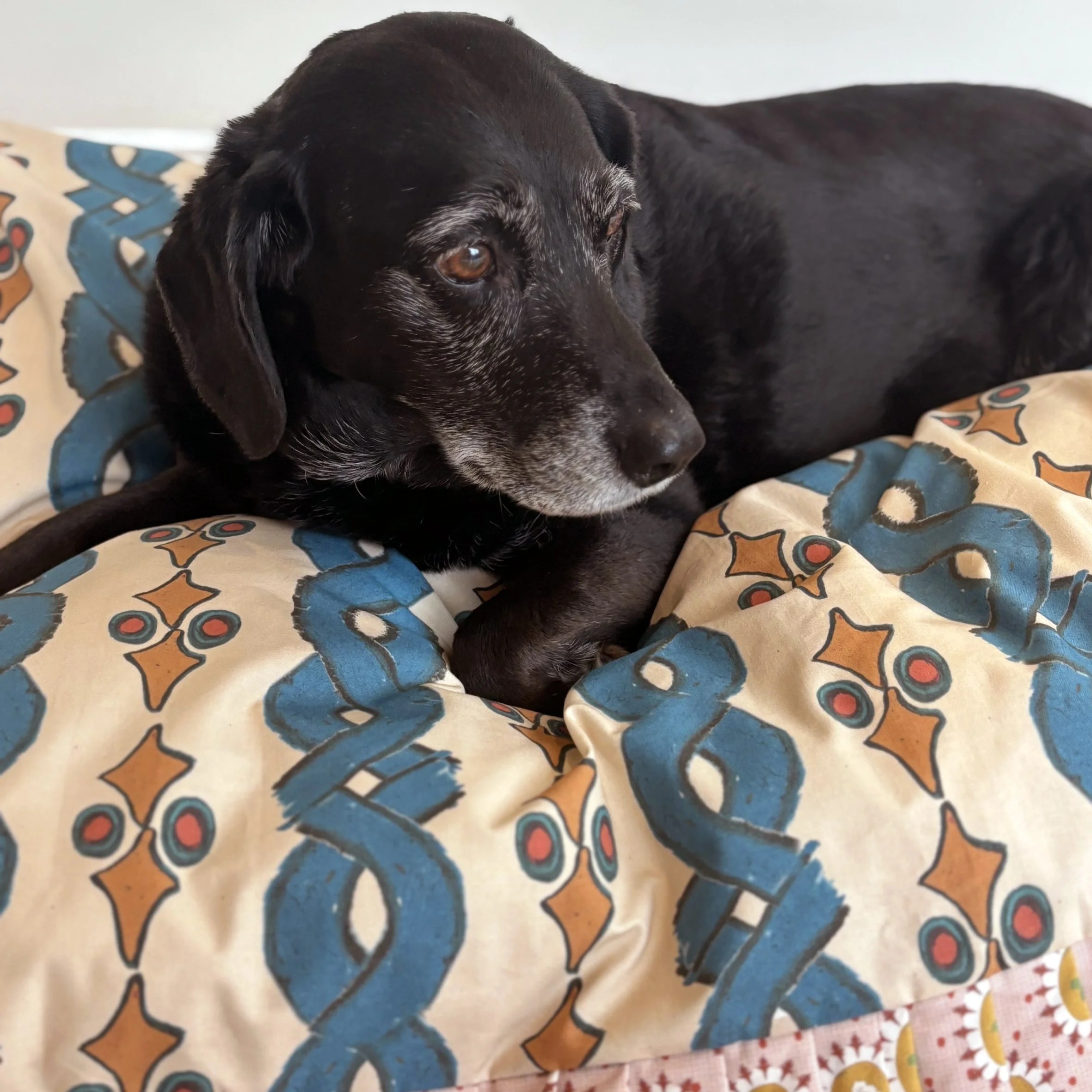 pipo stripe dog bed 9.jpg