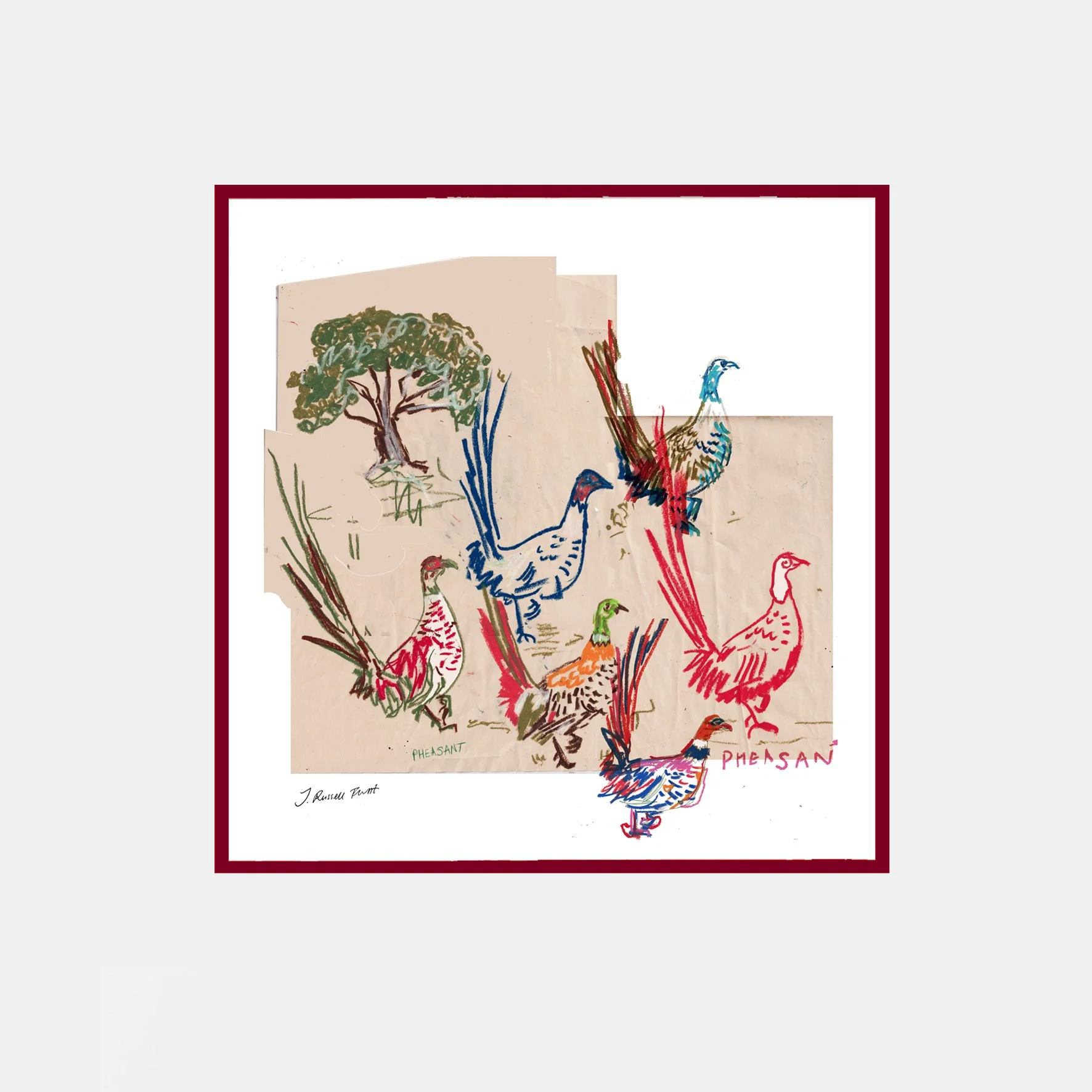 pheasant for web_in frame 1.jpg