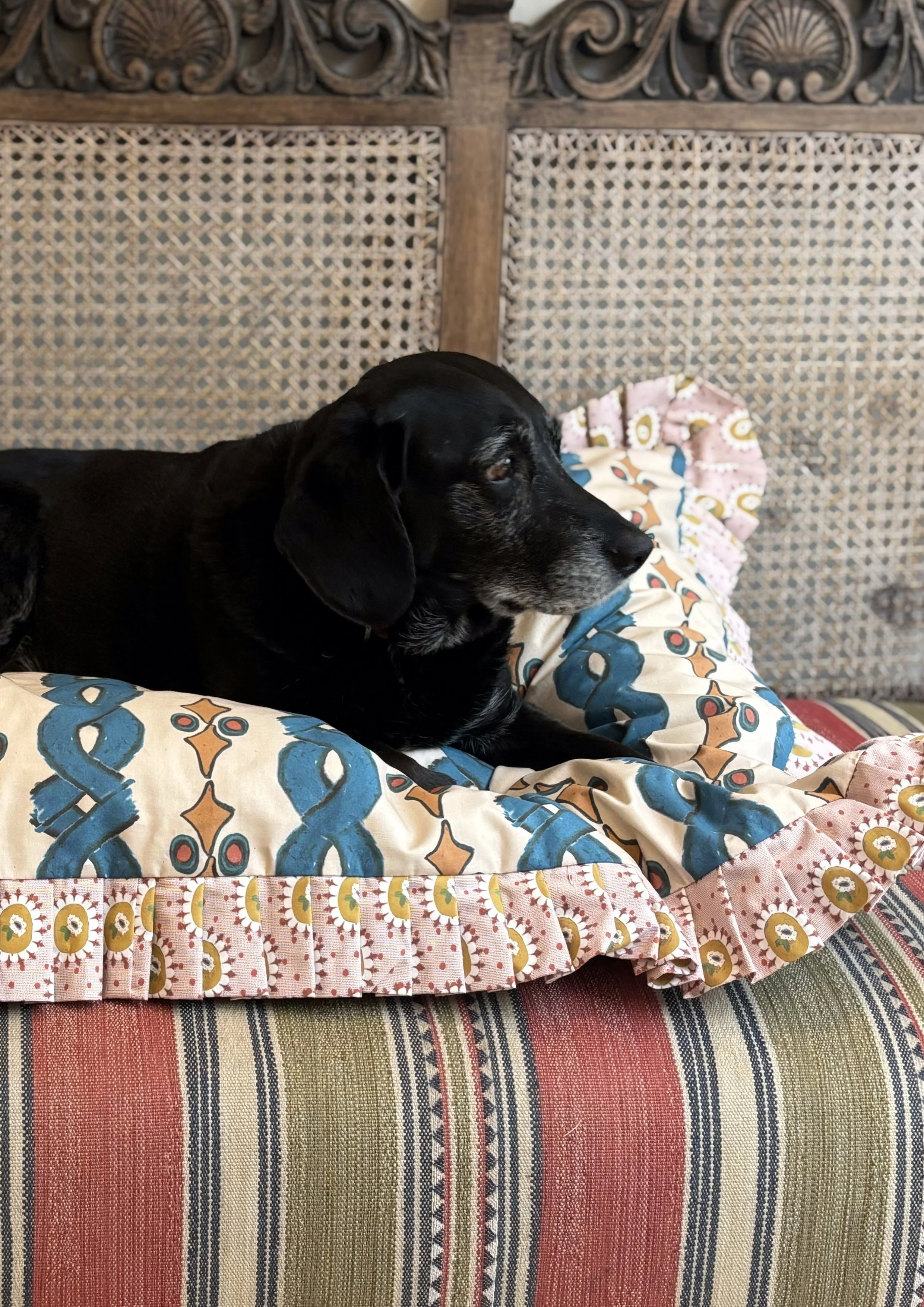 pipo stripe dog bed 3.jpg