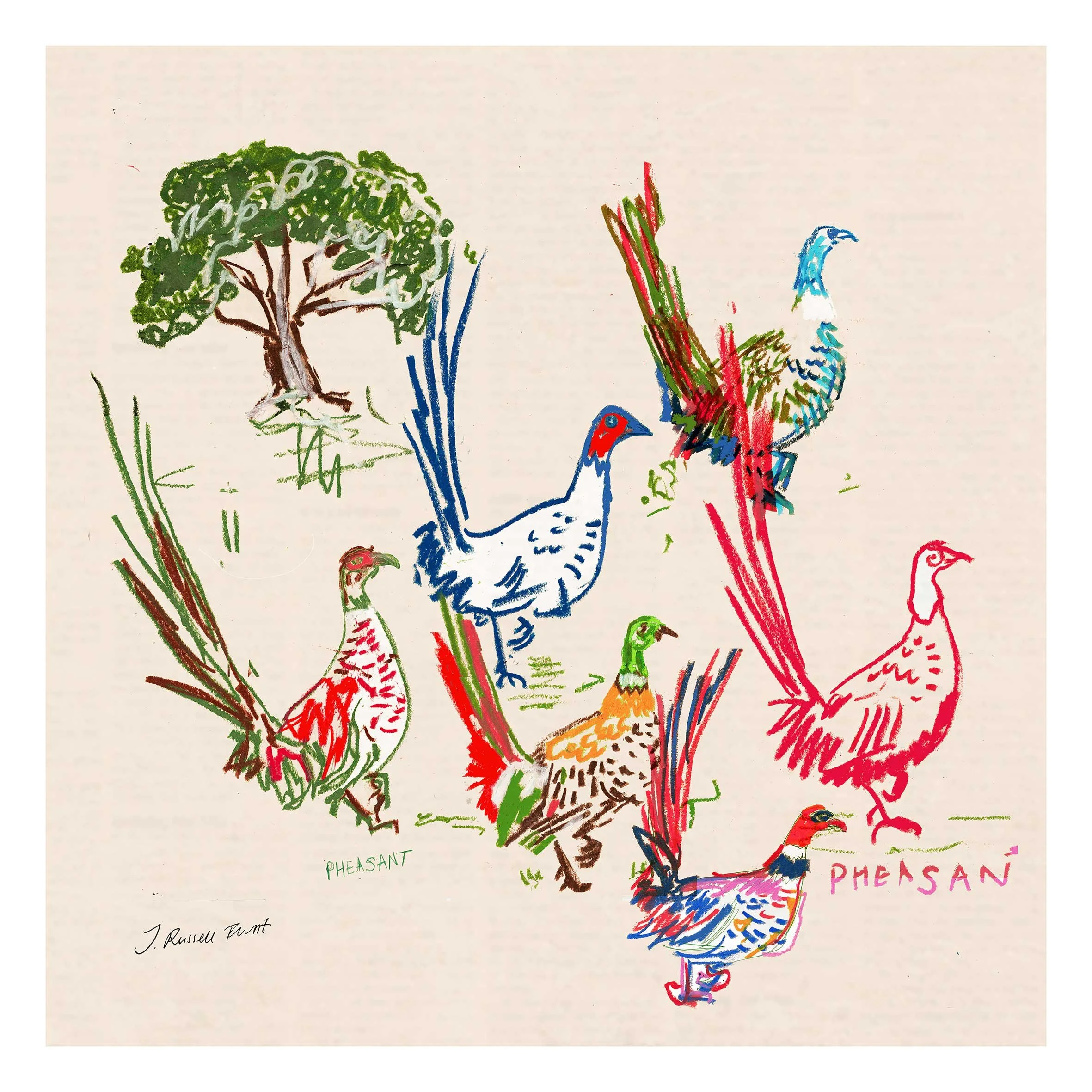 pheasant-print_for-web.jpg