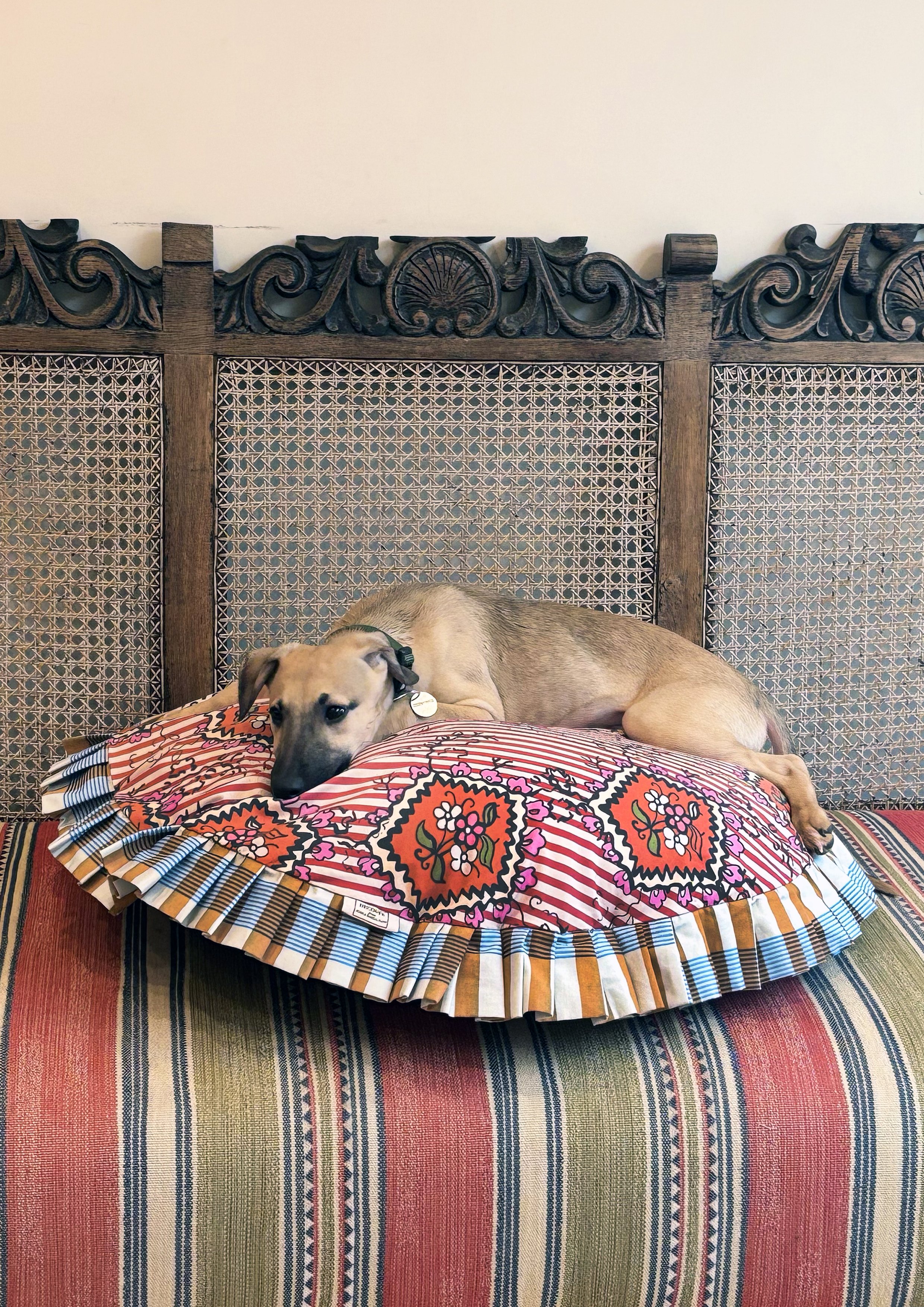 chintz and check 11.jpg