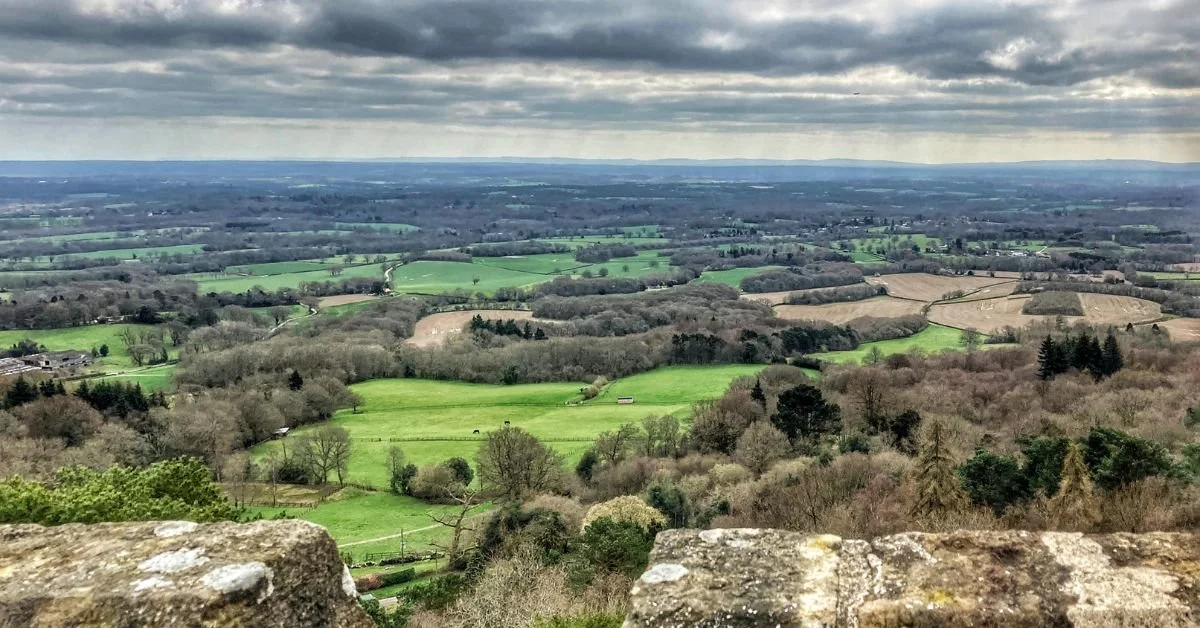 Leith-Hill-Walk-Leith-Hill.jpg