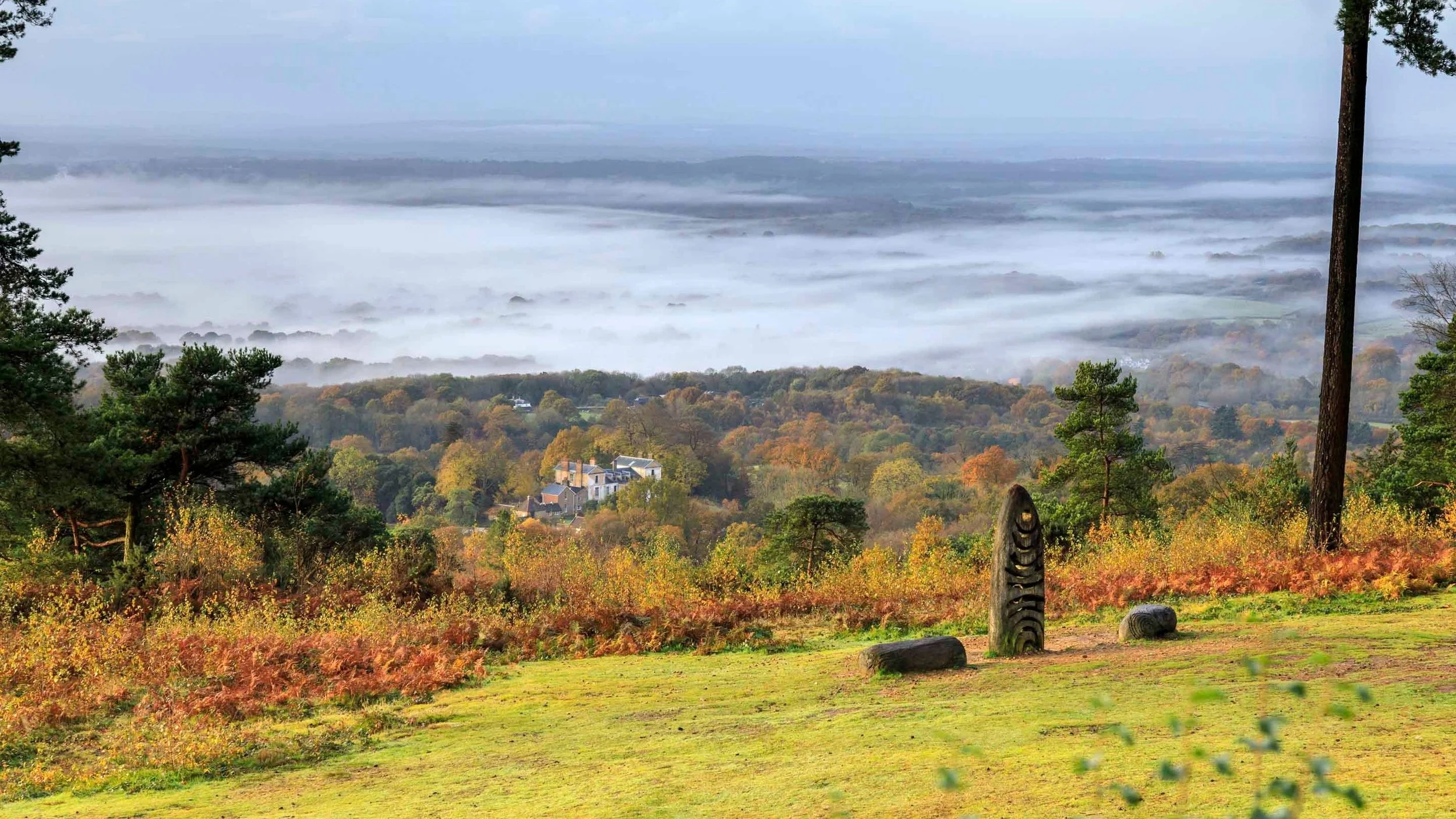 autumnal-view-from-leith-hill-surrey-1534950.jpg