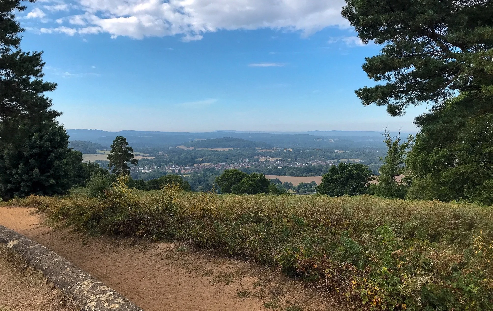 Best-Surrey-Hills-Walks-13.jpeg