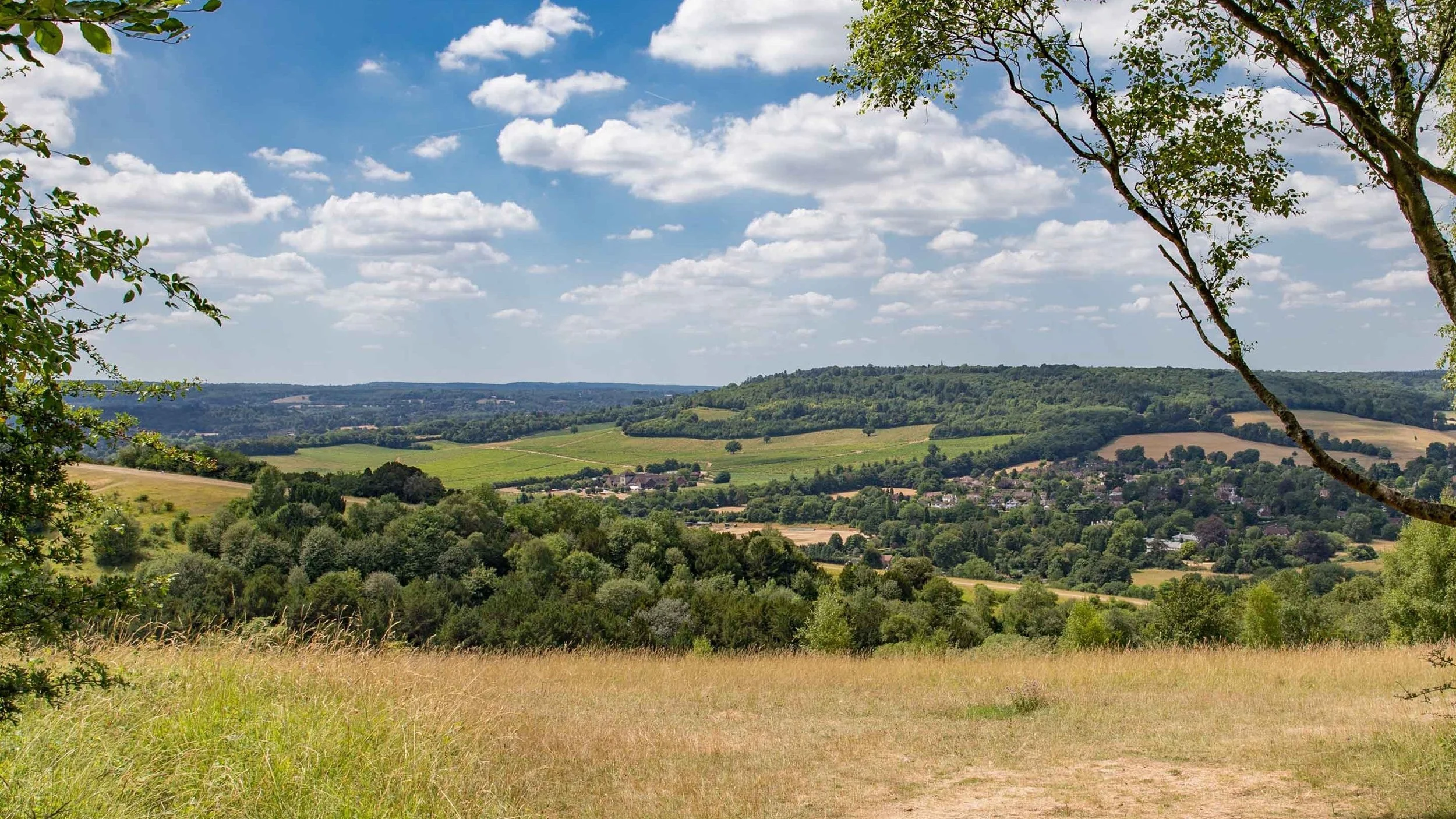 view-from-box-hill-surrey-1421377.jpg