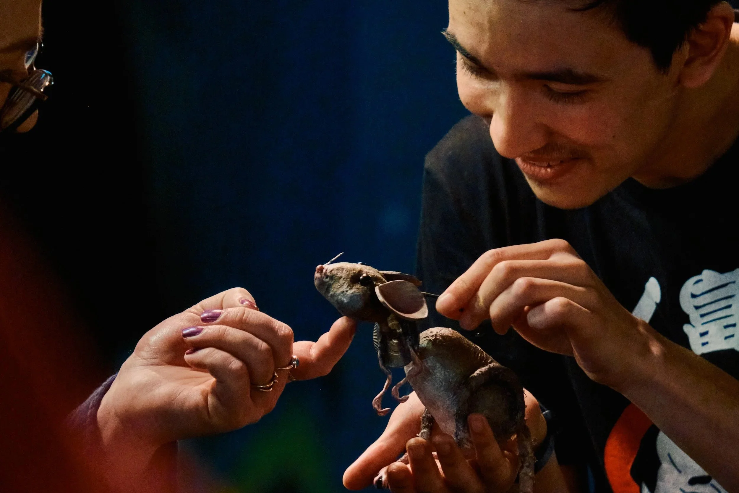 Puppetry Masterclass: Exploring Queer Identities