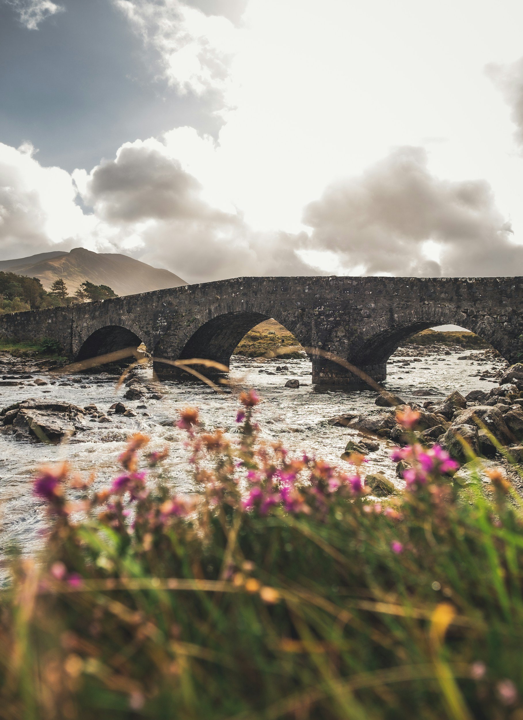 Scottish Highlands, self catering, Stone bridge over a flowing river with mountains in the background and pink flowers in the foreground, under a partly cloudy sky - Escape Cottages Scotland