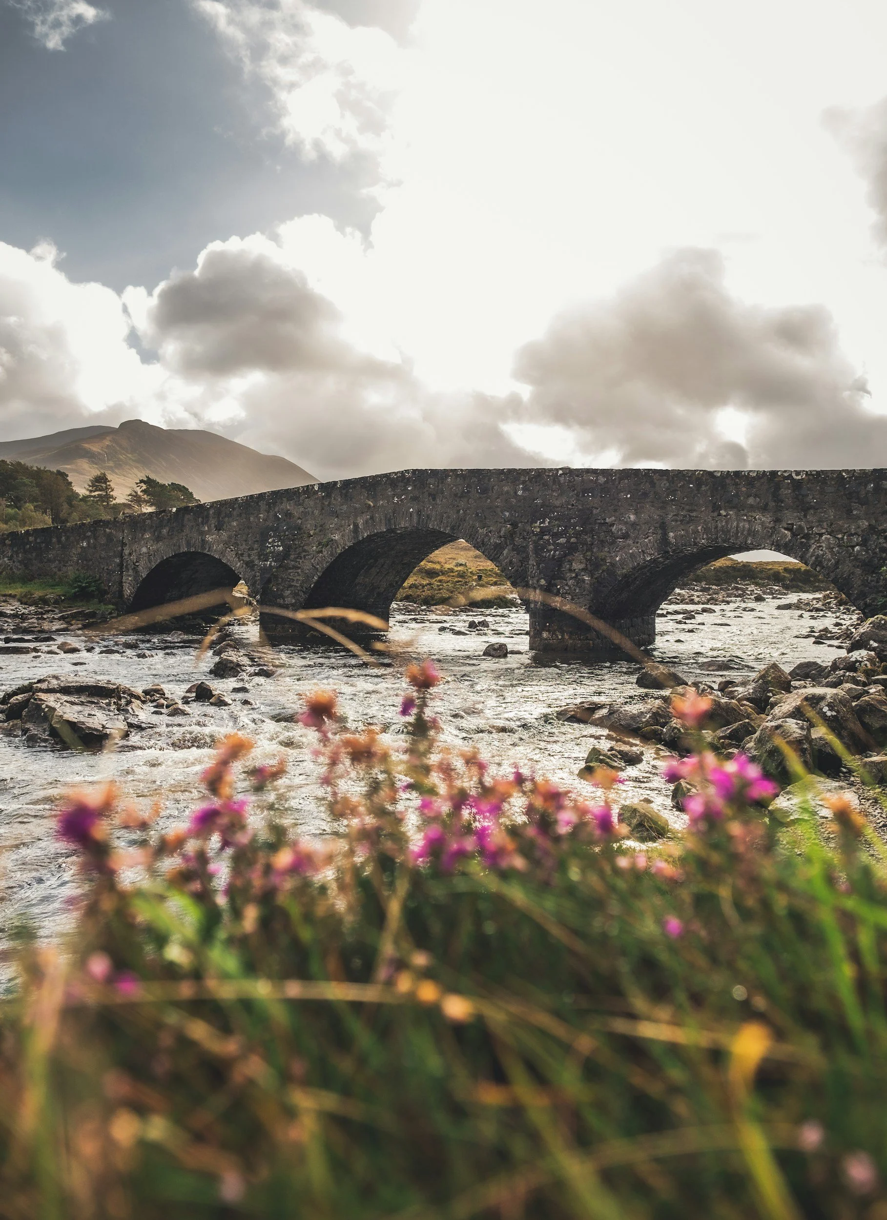 A stone bridge crosses a flowing river with rocks, with mountains, trees, clouds, and the sun in the background, and pink wildflowers in the foreground.