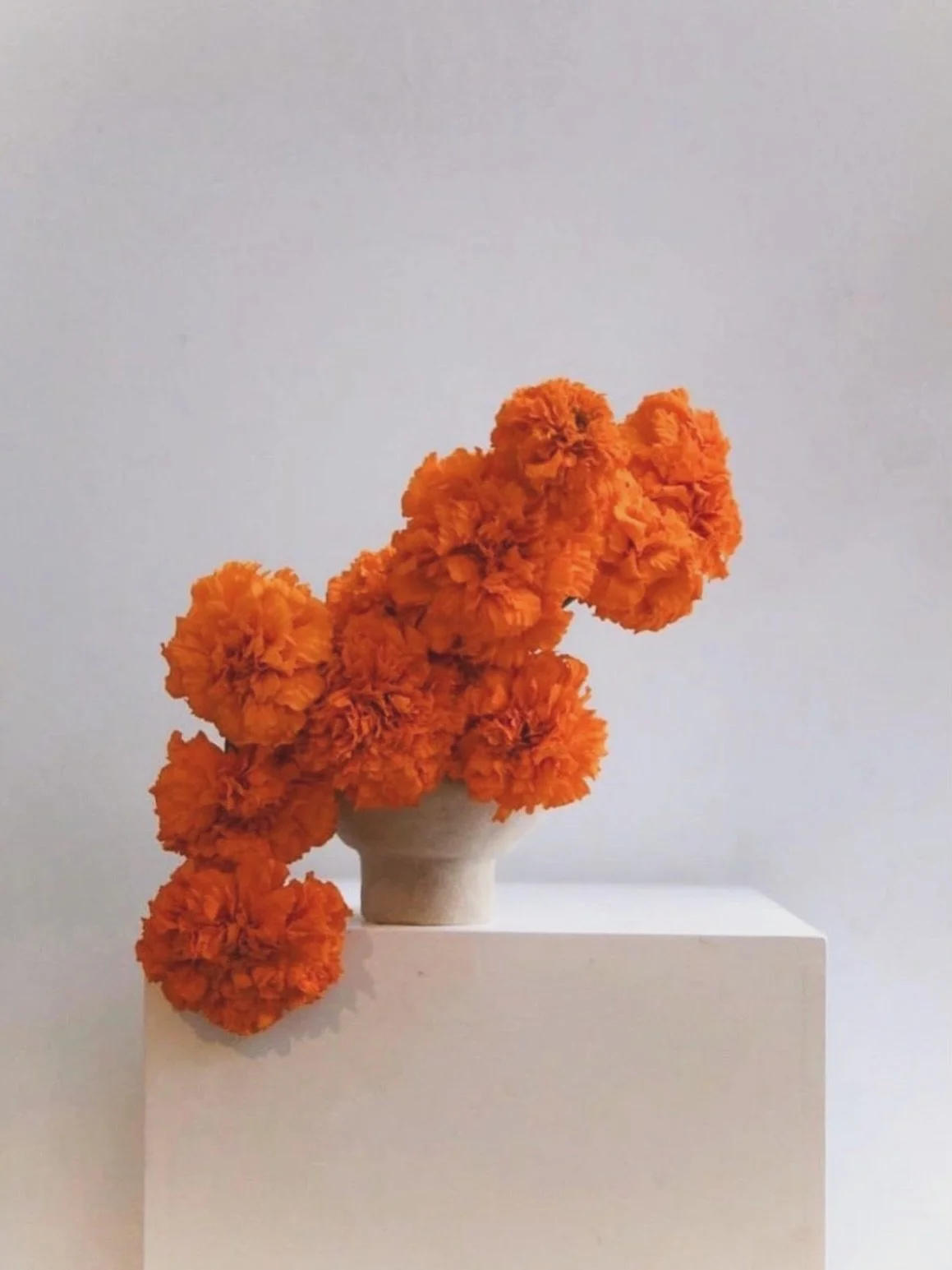 Las flores naranjas&hellip;🧡