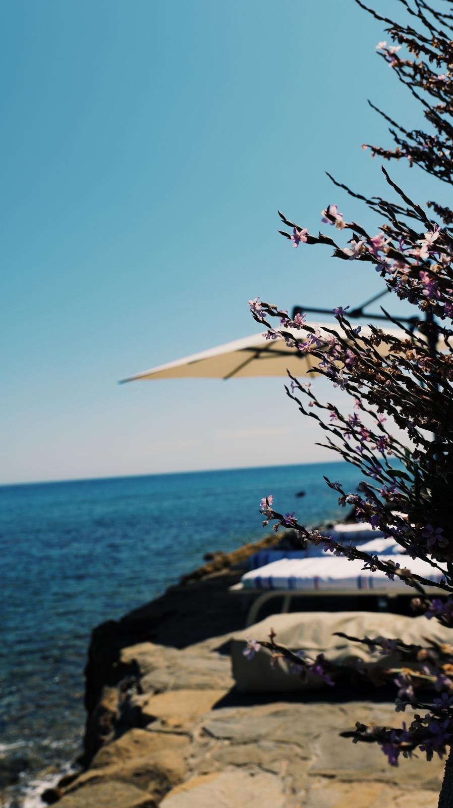 view over the sea with umbrella and plants coloured