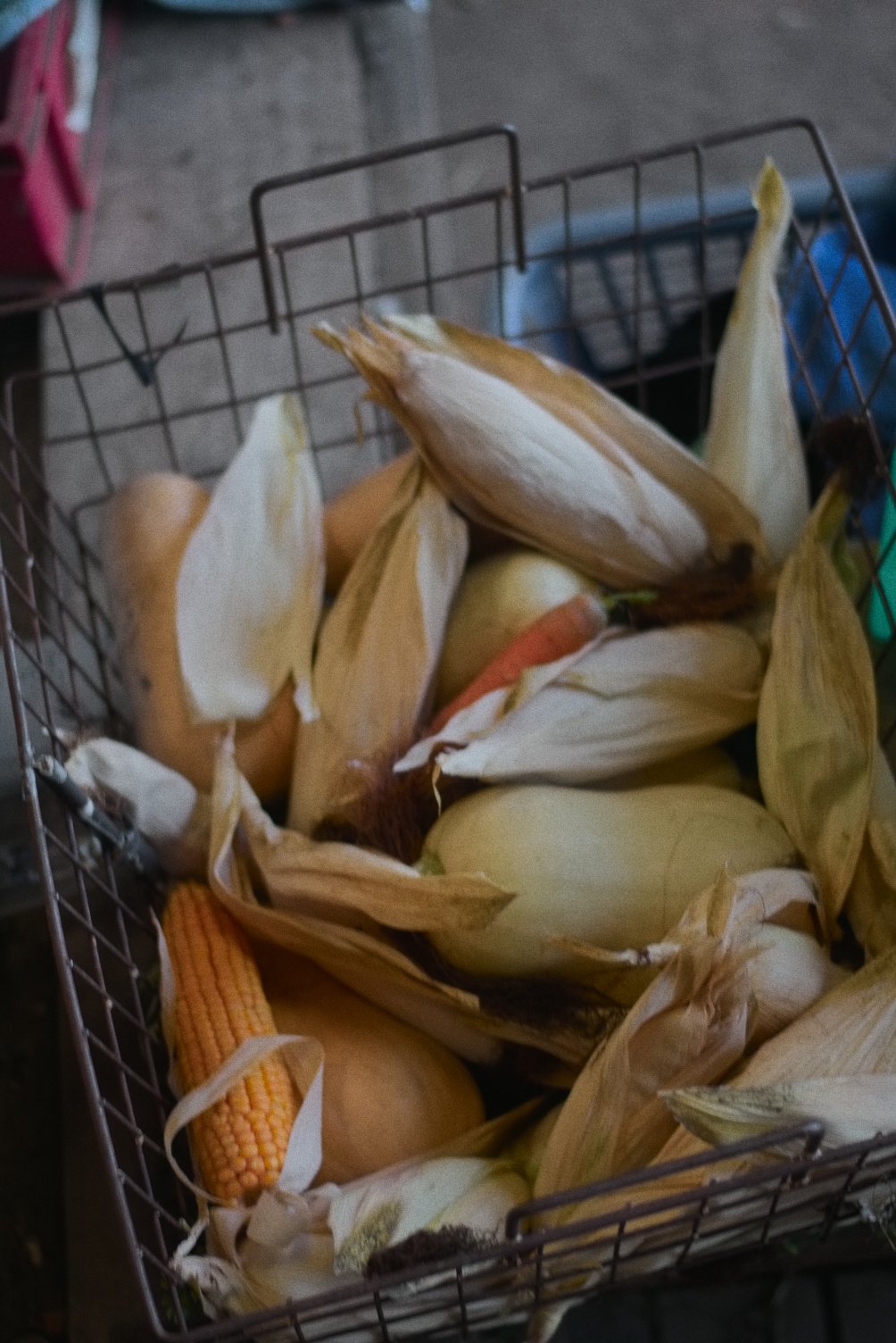DSC_1812_01.jpg