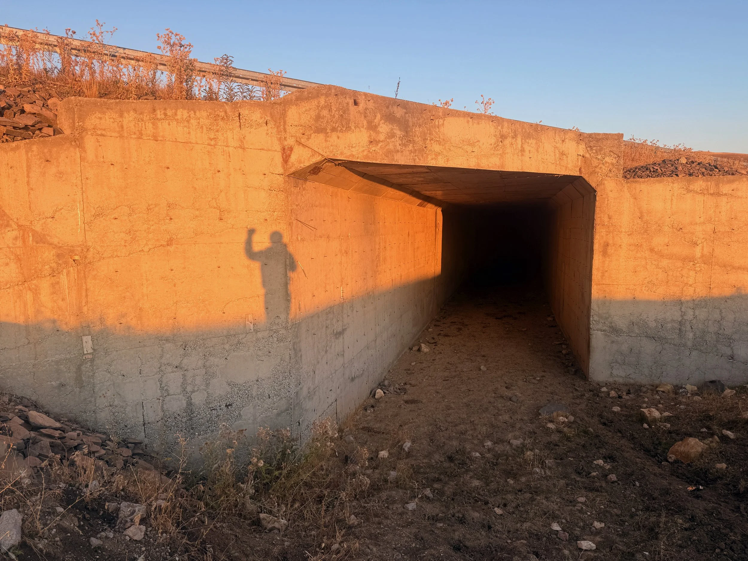 📝days 403-438: an epic (failed) journey to Palestine &amp; the crash.