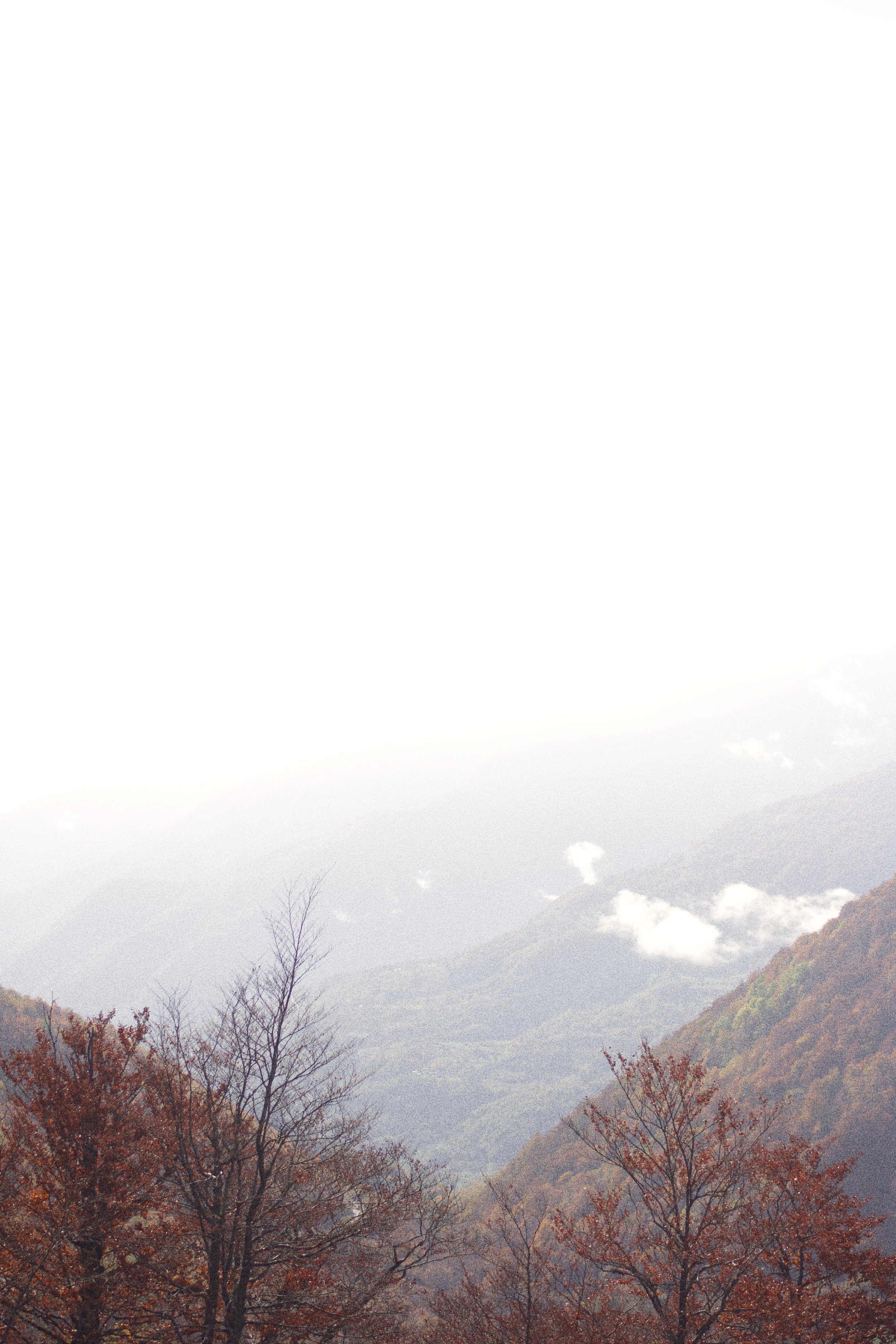 fading into white