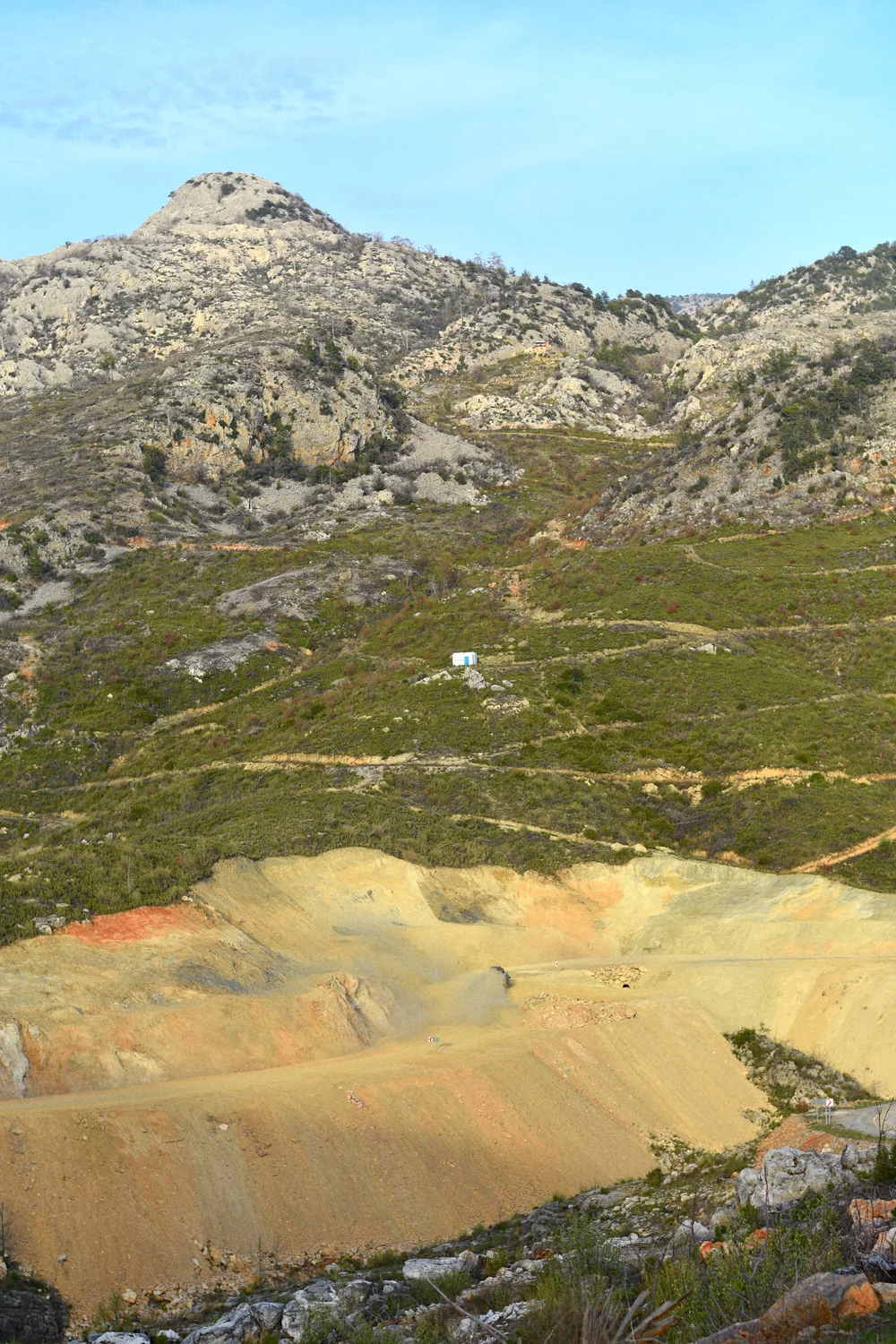 yellows, greens &amp; blues