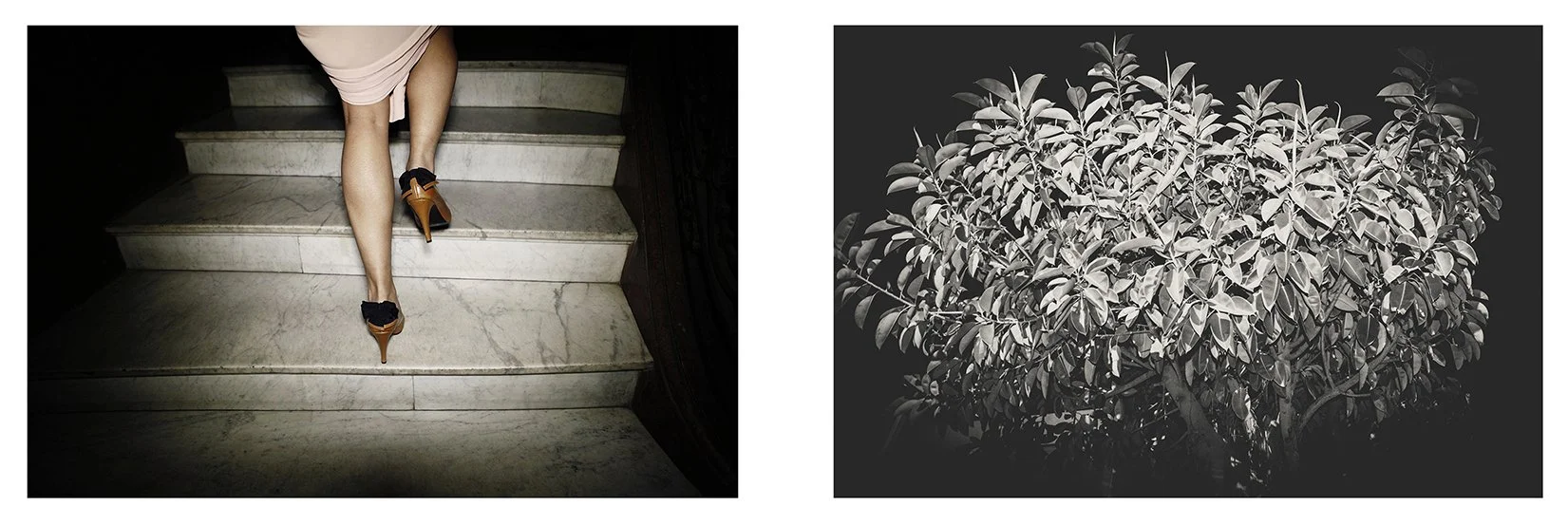 dyptique-battement-du-silence-17-eliseortioucampion.jpg