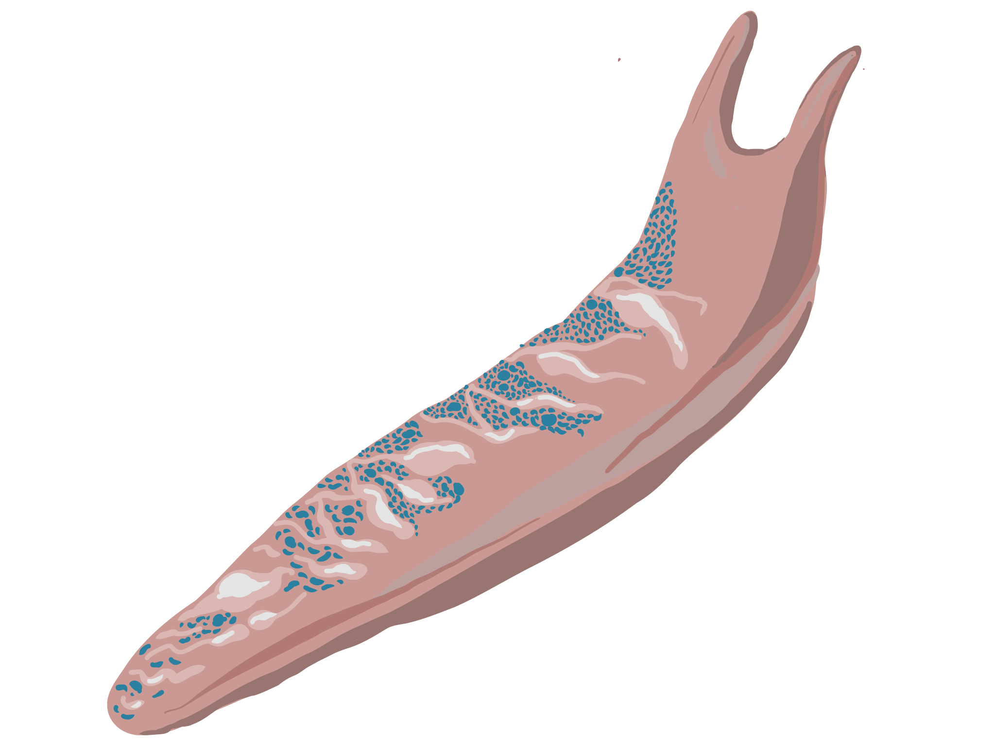slug.png