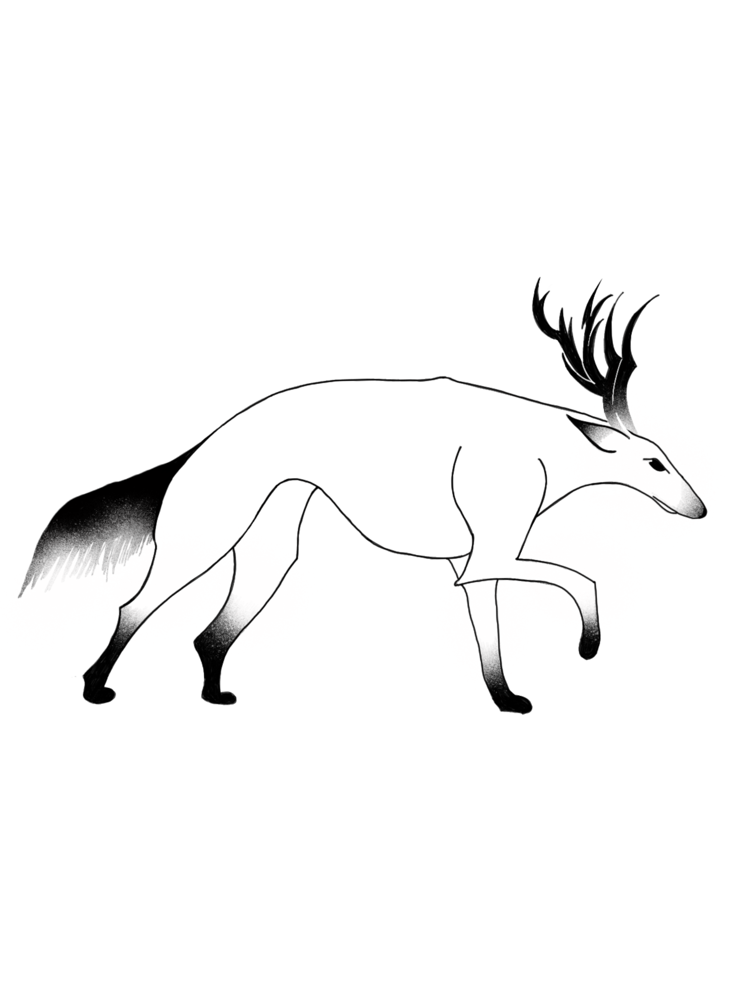 IMG_1995.PNG