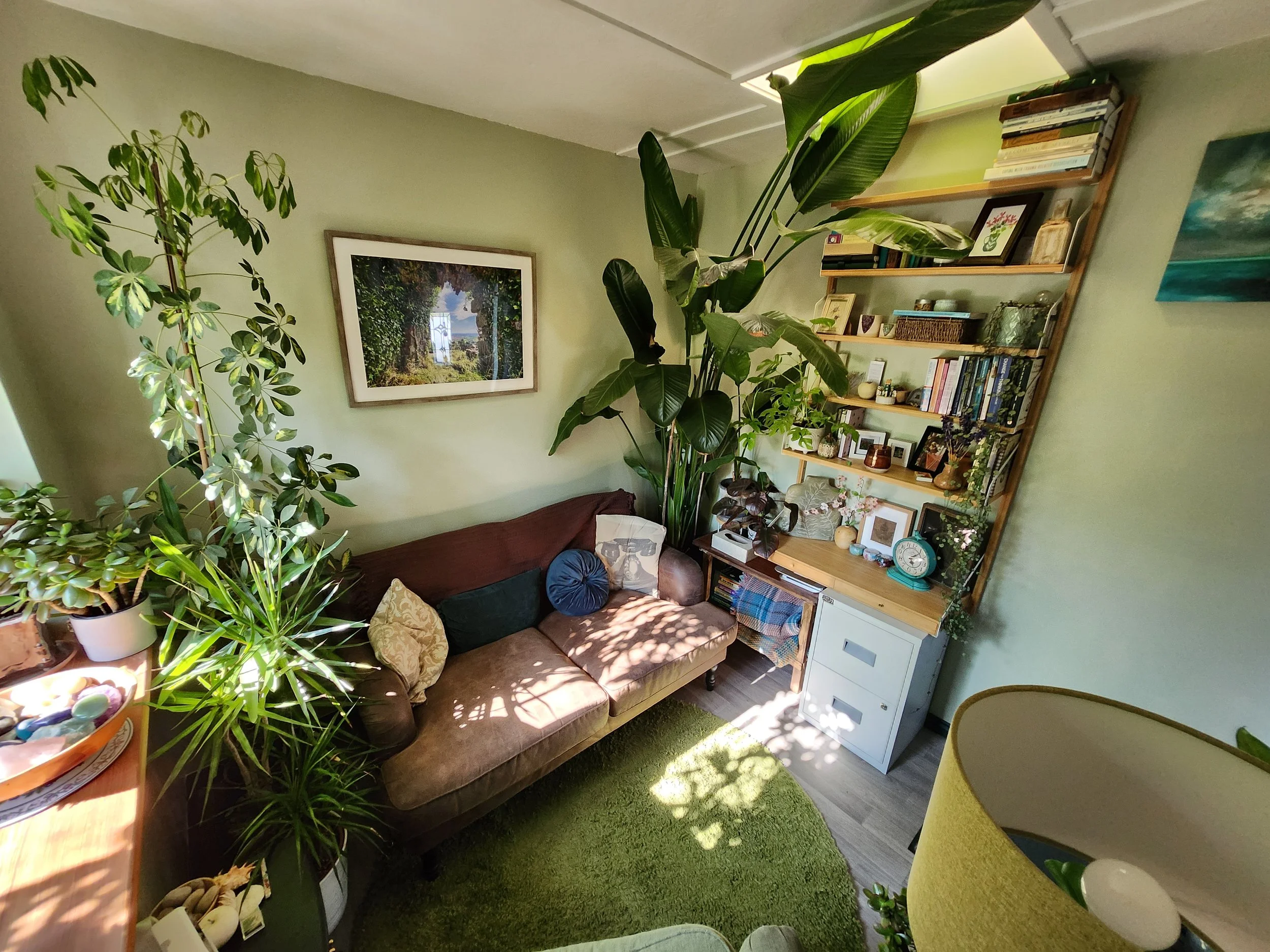 A cozy room filled with various indoor plants, including a large BoP plant and smaller potted plants, with a brown sofa, decorative cushions, wall art, and a wooden bookshelf filled with books and decorative items, under natural sunlight.