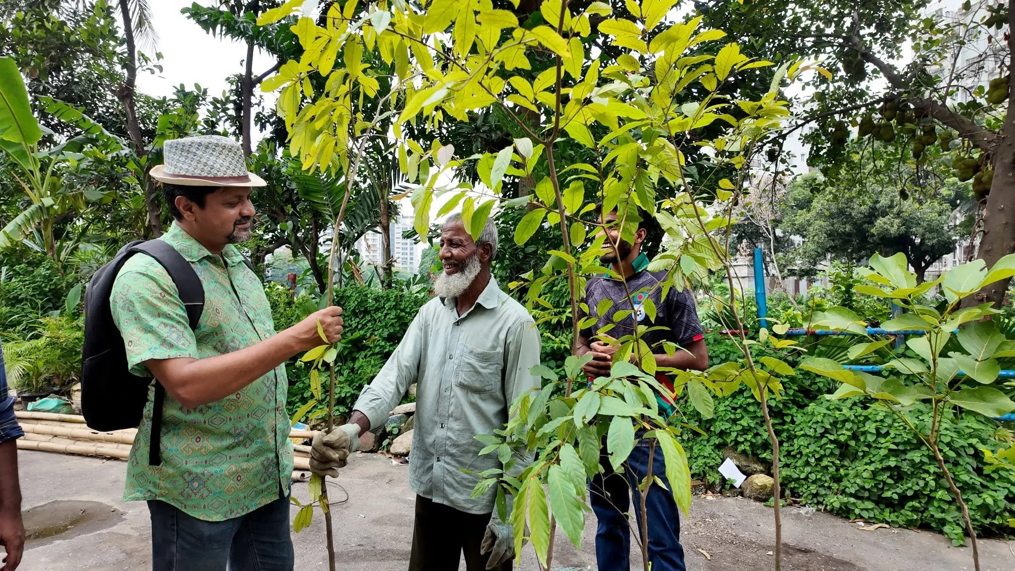 100 saplings were distributed to 55 Kodomtola