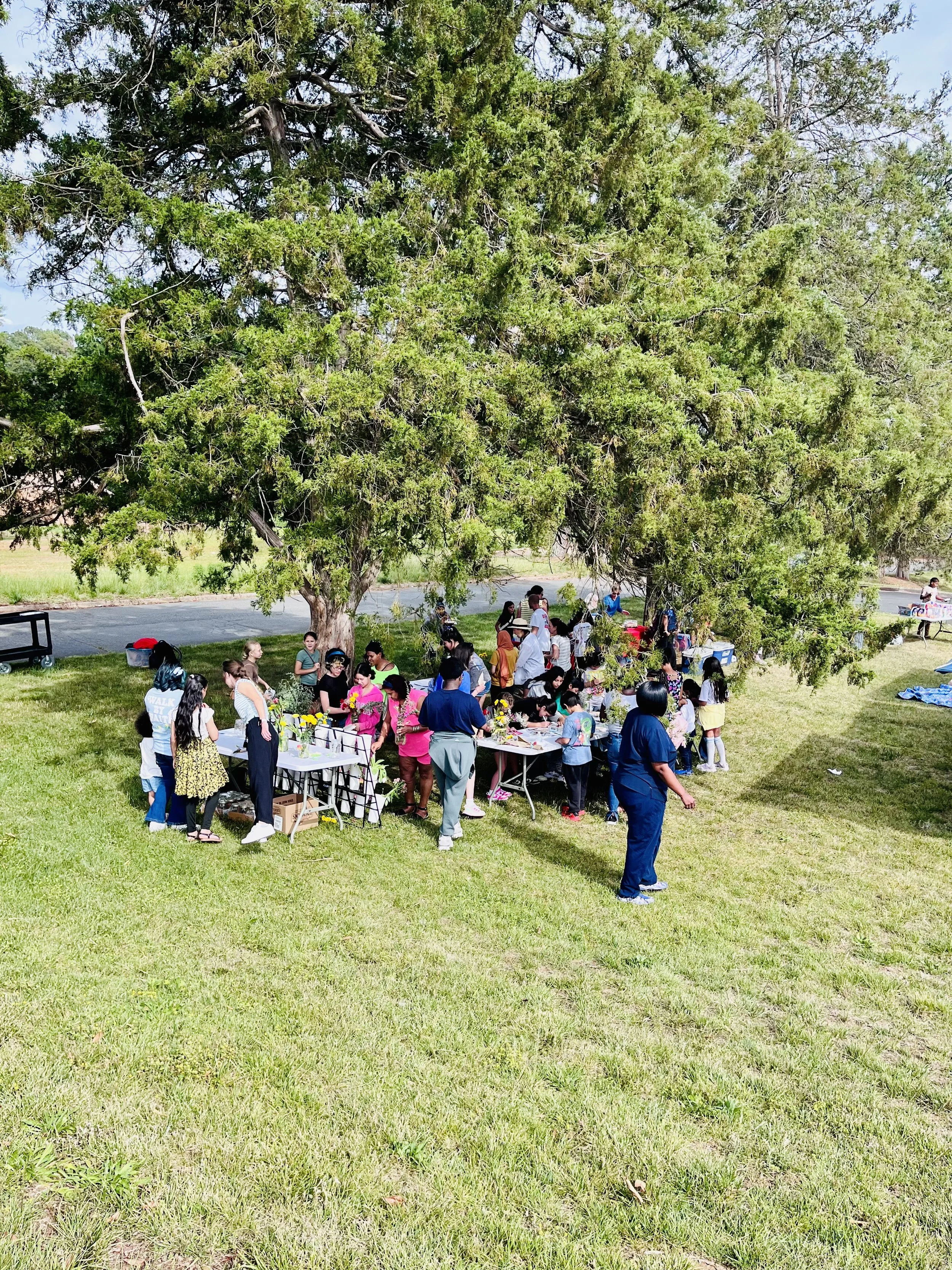 Building a Collaborative Community Impact Ecosystem Through City of Hope